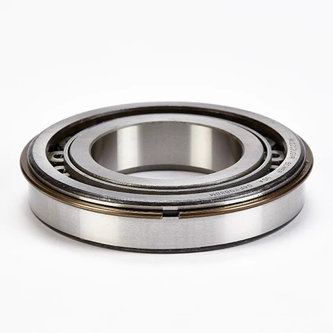 ЦИЛИНДР. РОЛИК. ПОДШ-К | CASECE | EU | RU