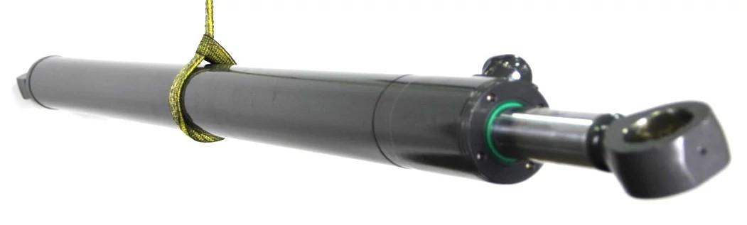 REMAN-HYD CYLINDER | CASEIH | IE | EN