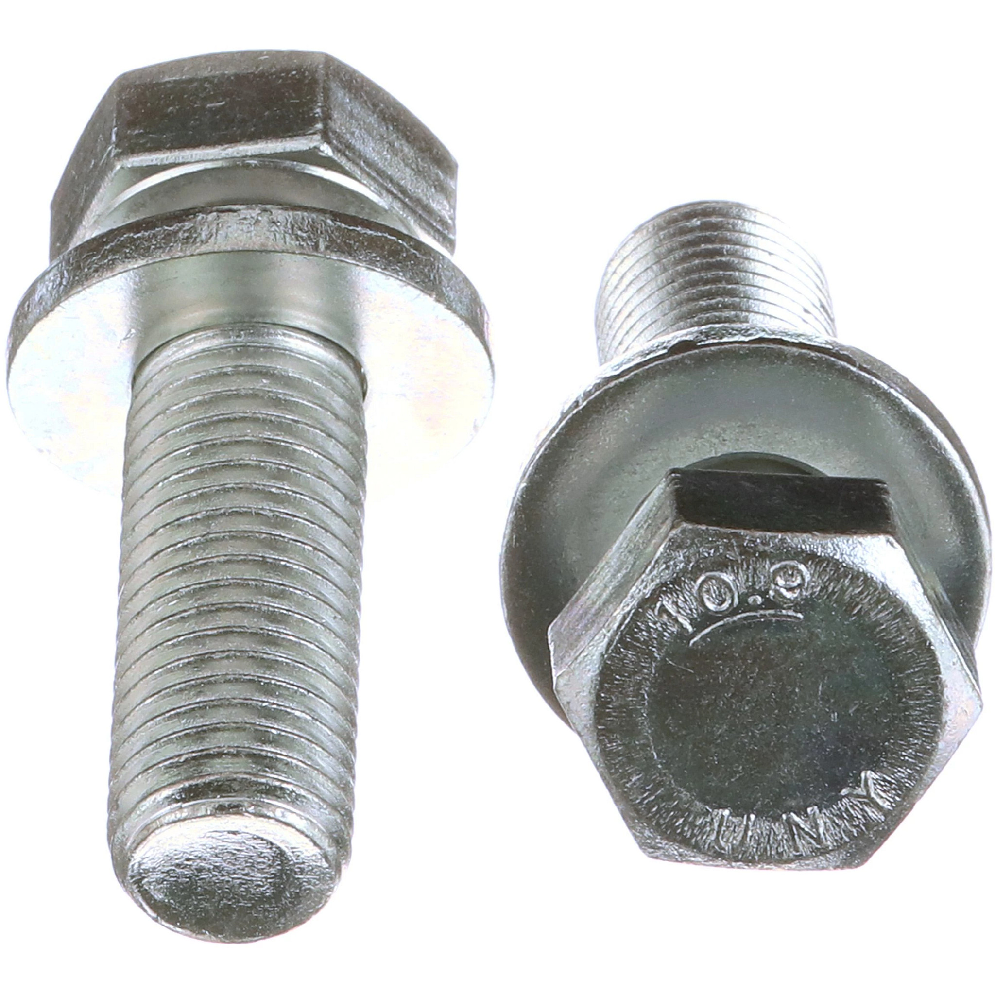 BOLT | CASECE | CA | EN