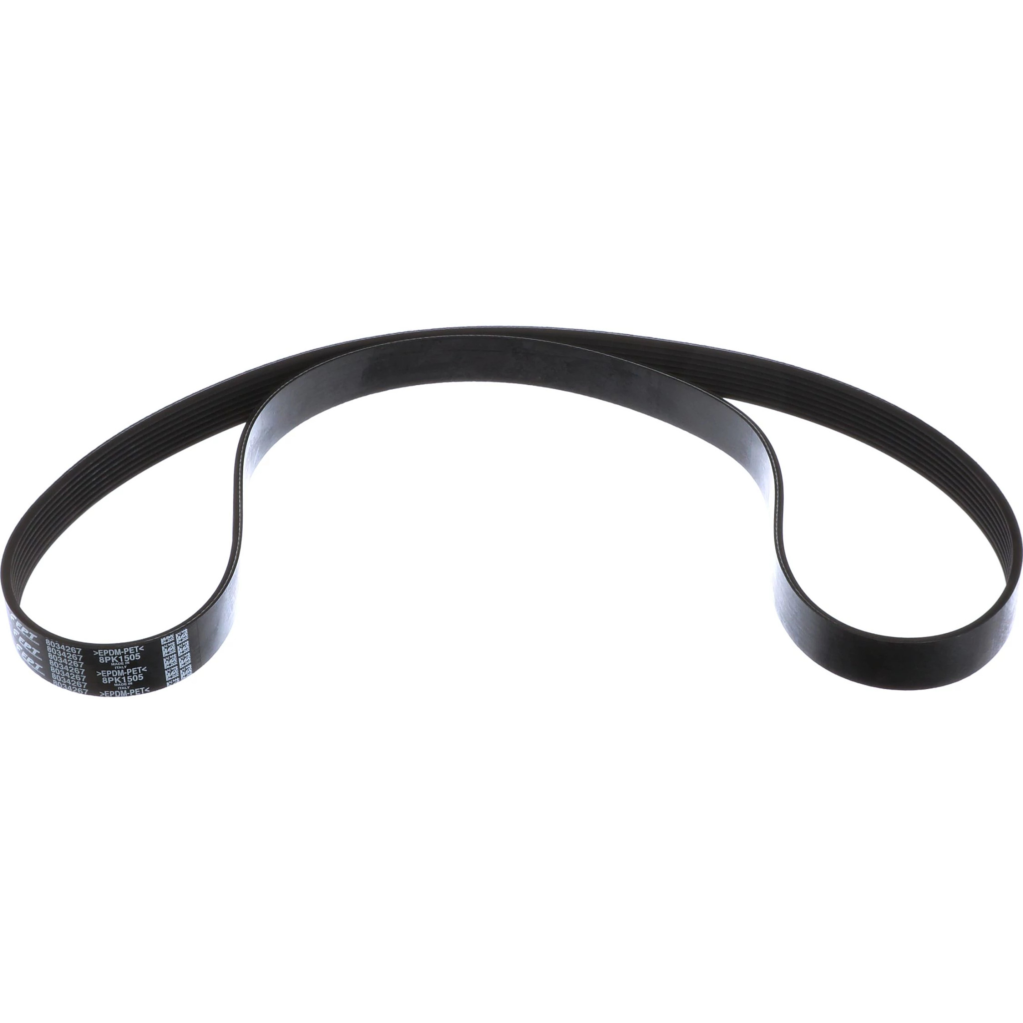 COURROIE | CASECE | CA | FR