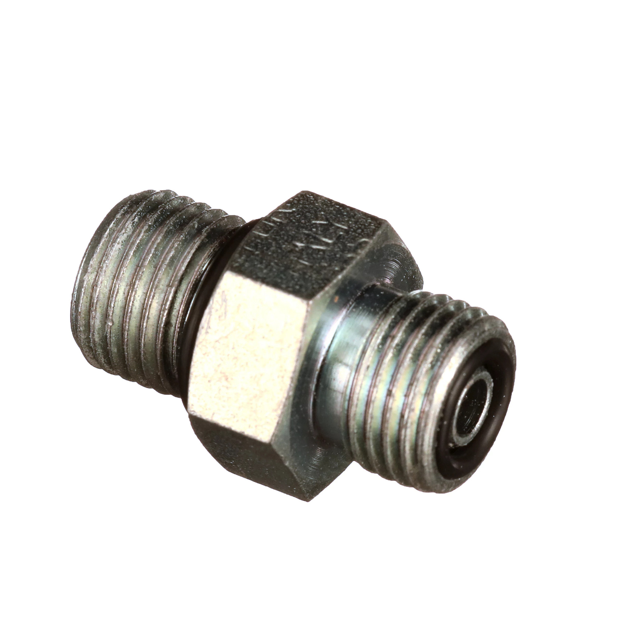 CONEXÃO | CASECE | BR | PT