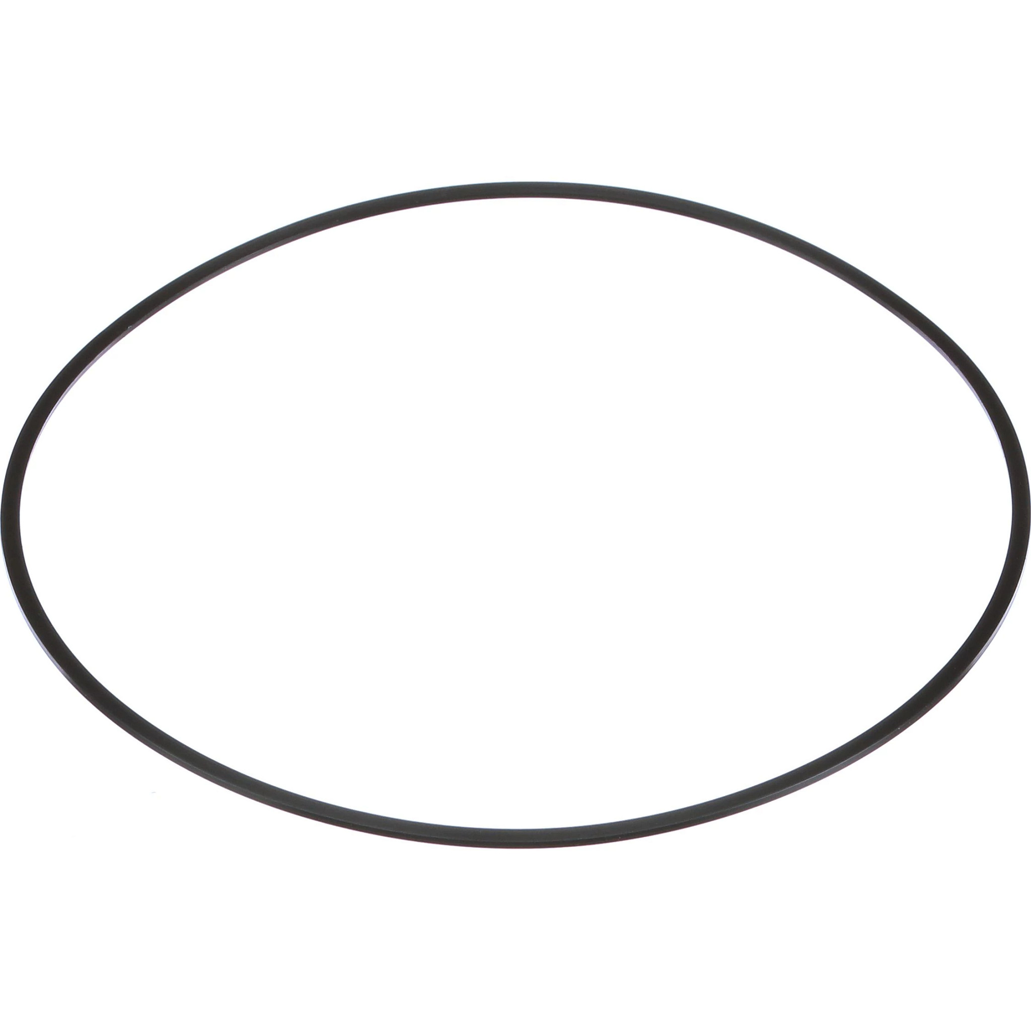 SEALING RING | NEWHOLLANDAG | SA | EN