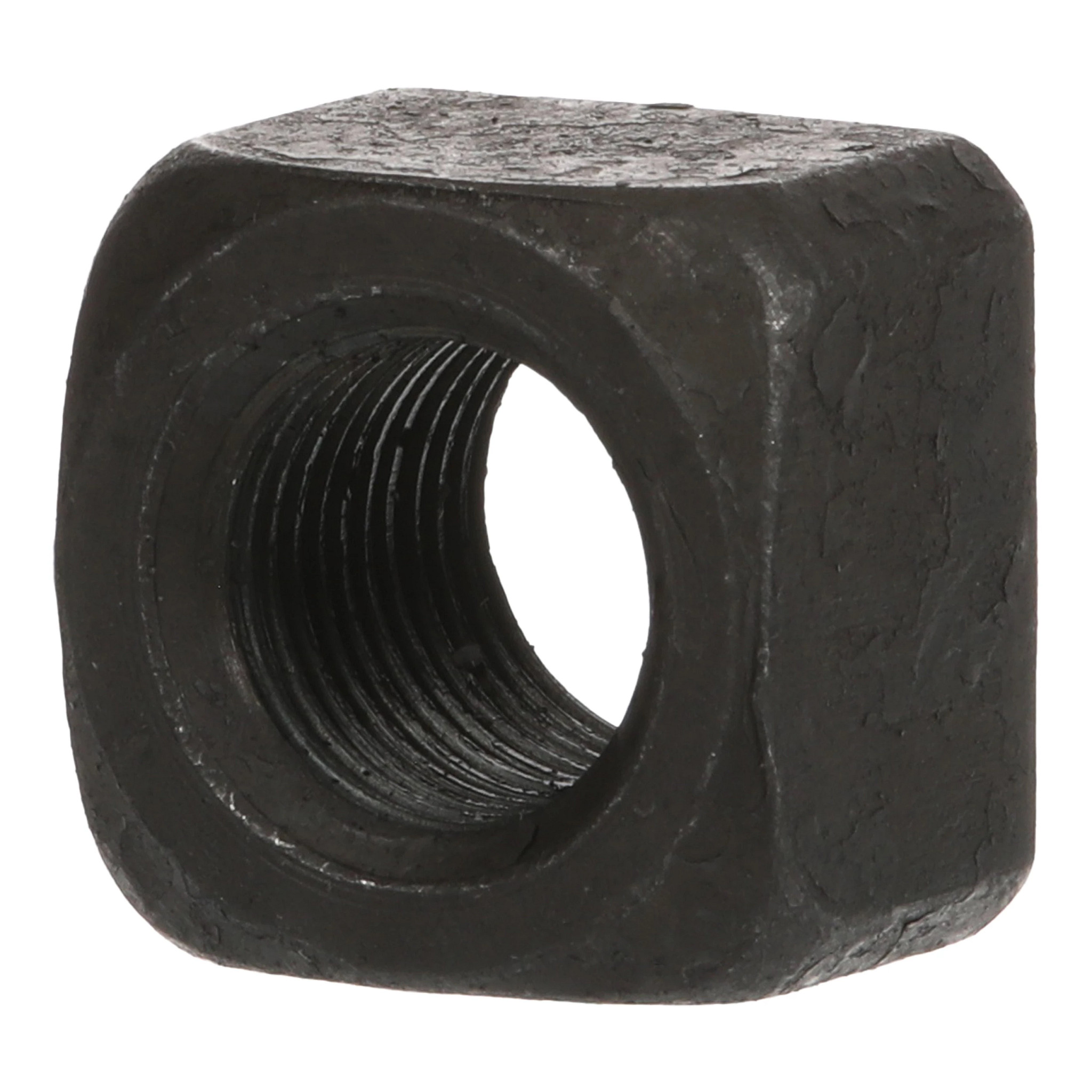 Nut | CASECE | CA | EN