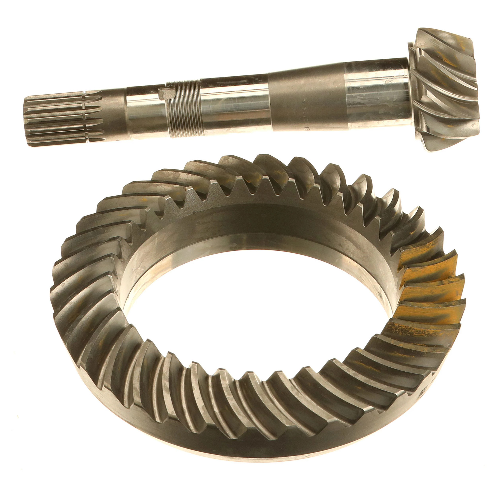 PIGNON CONIQUE | NEWHOLLANDAG | CA | FR