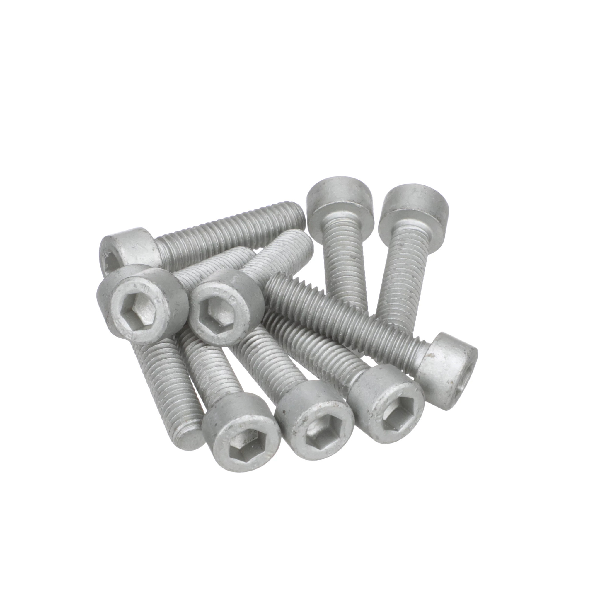 Screw | CASECE | BR | PT