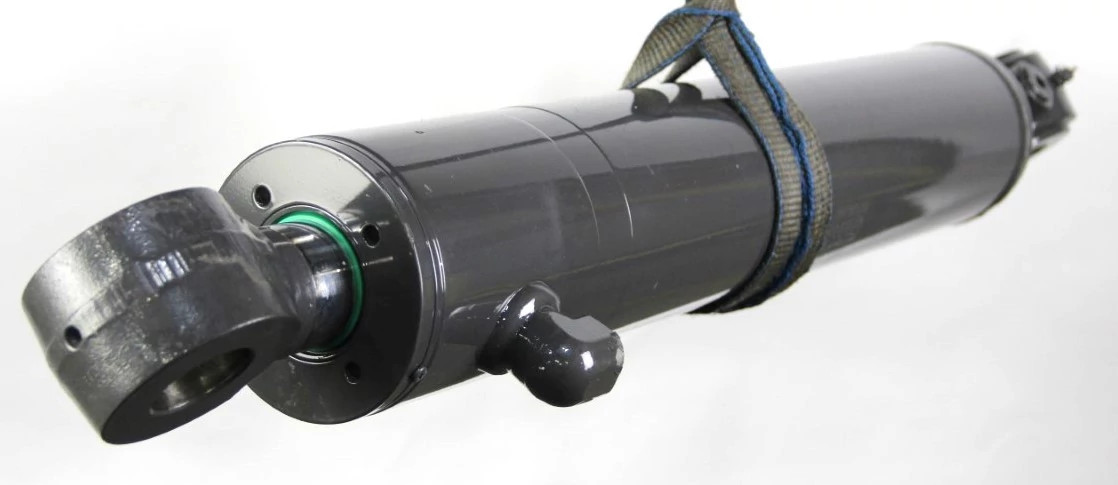 REMAN-HYD CYLINDER | CASEIH | US | EN