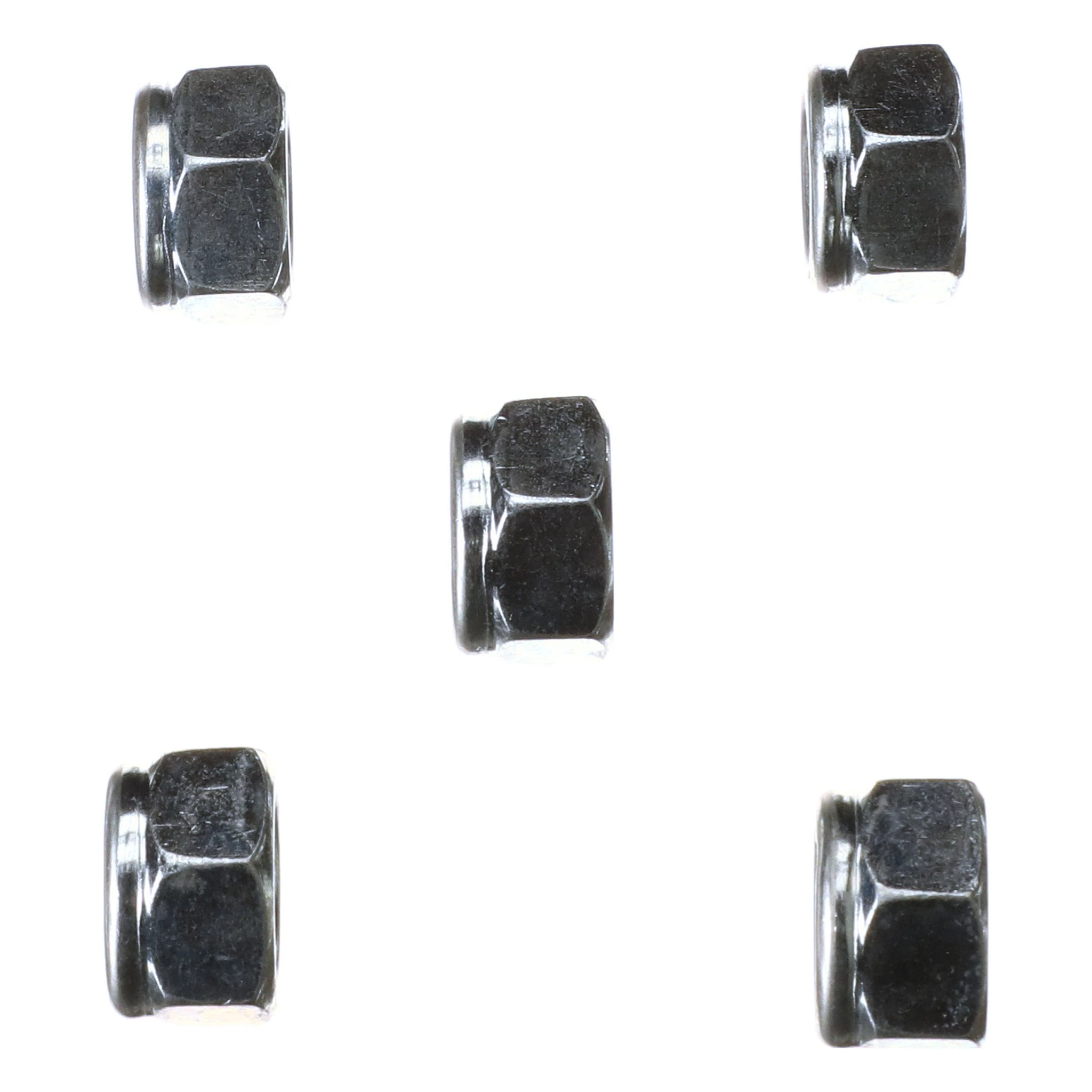 NUT | CASECE | AMEA | EN