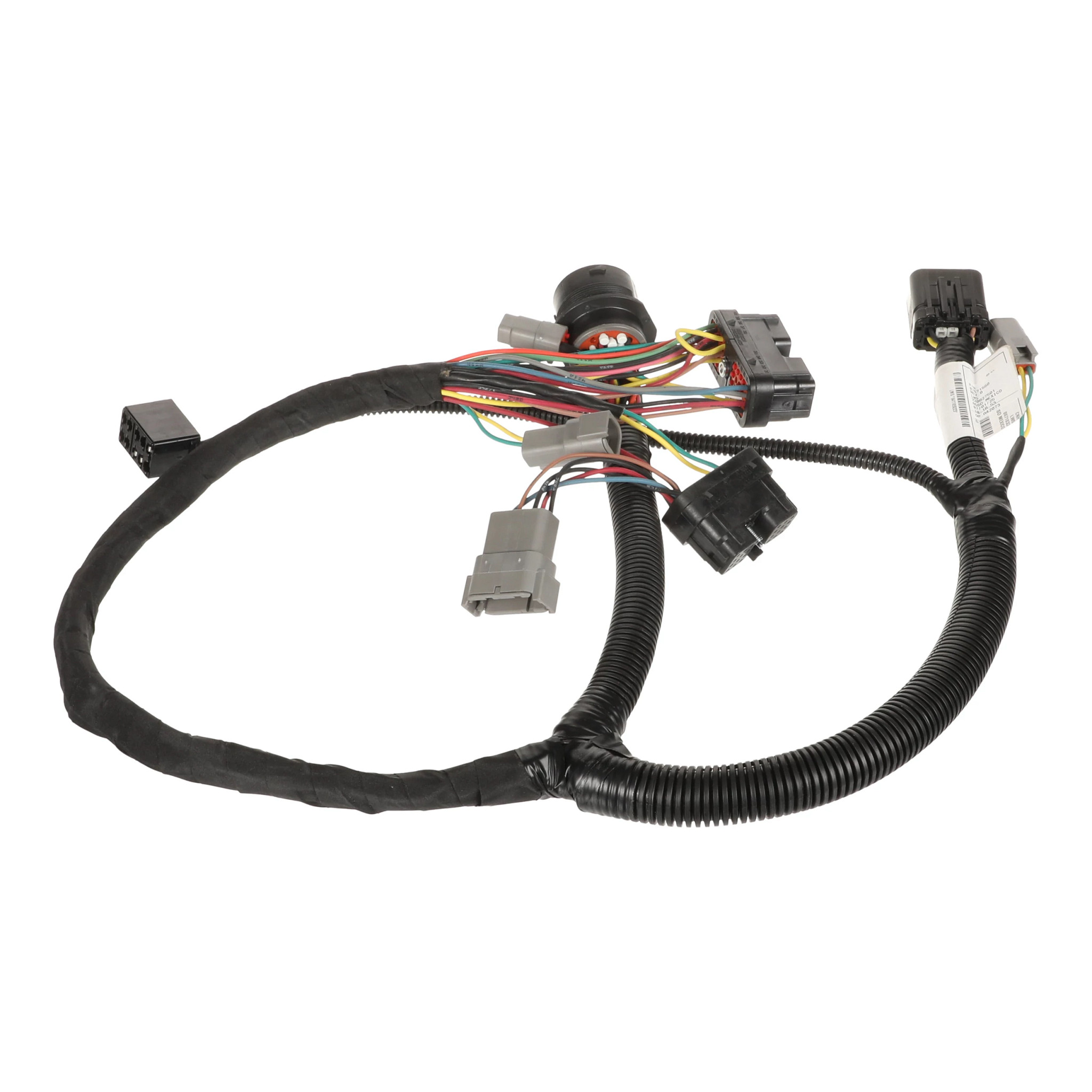 HARNESS | CASECE | CA | EN