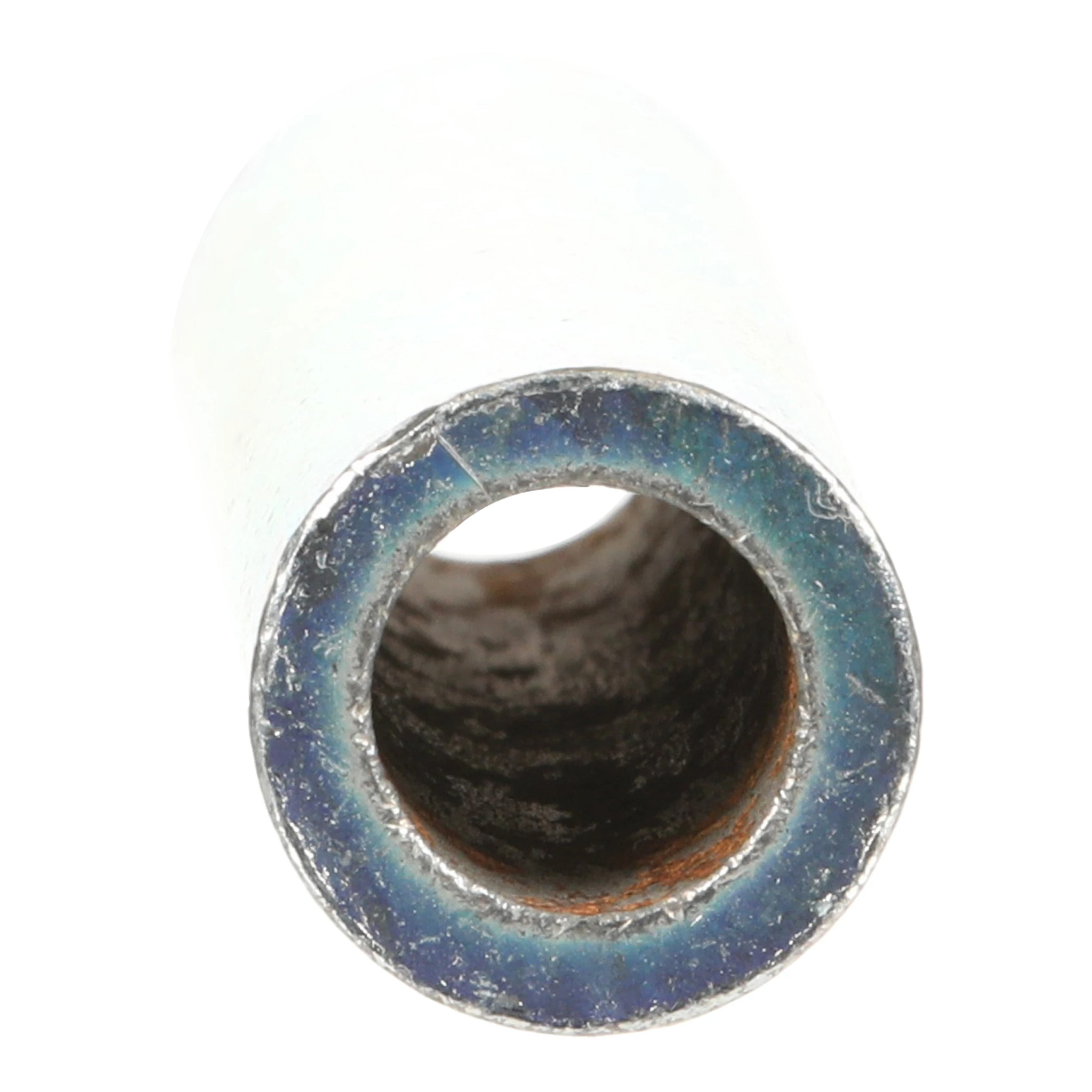 MANGUITO | CASECE | EU | EN