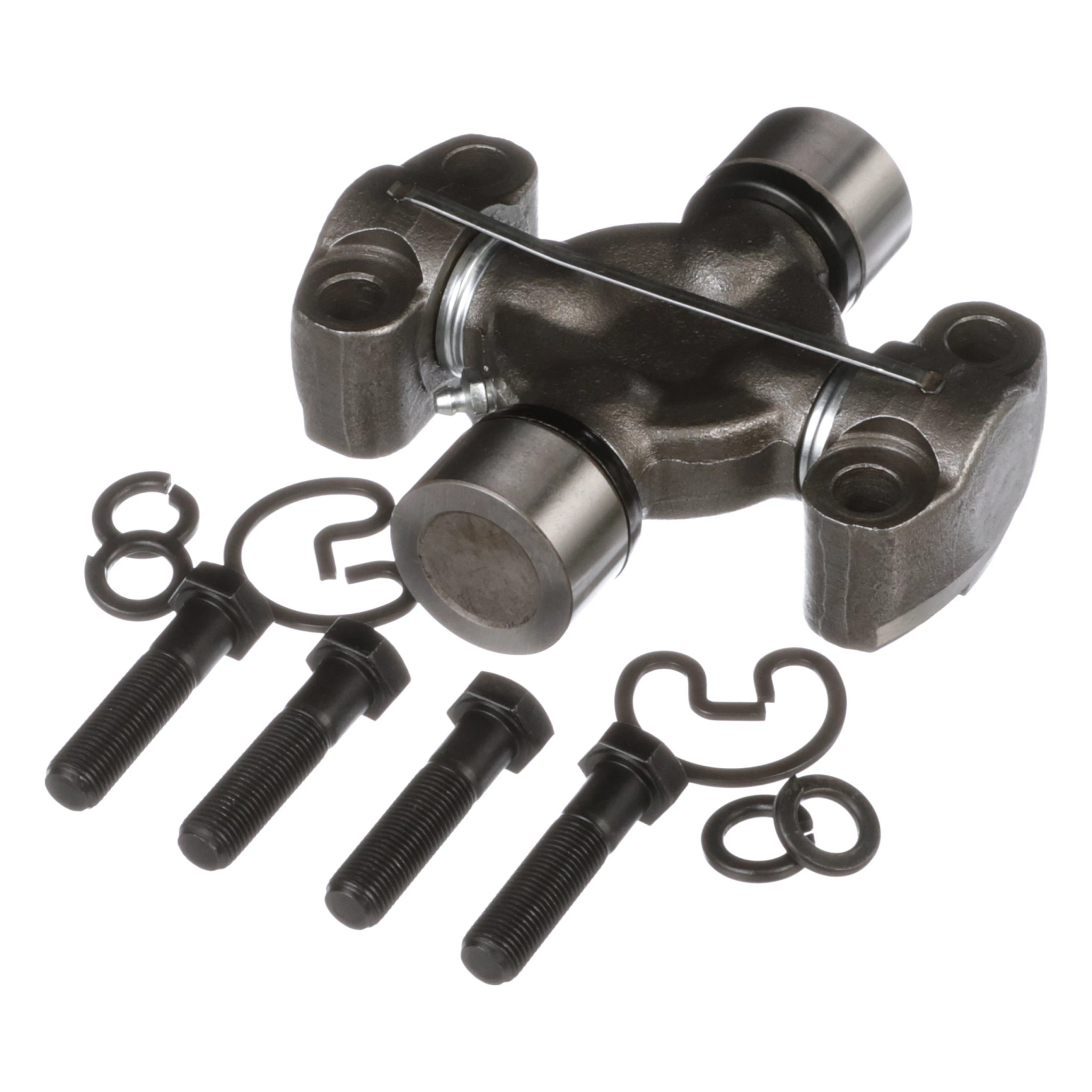 Spider | CASECE | US | EN