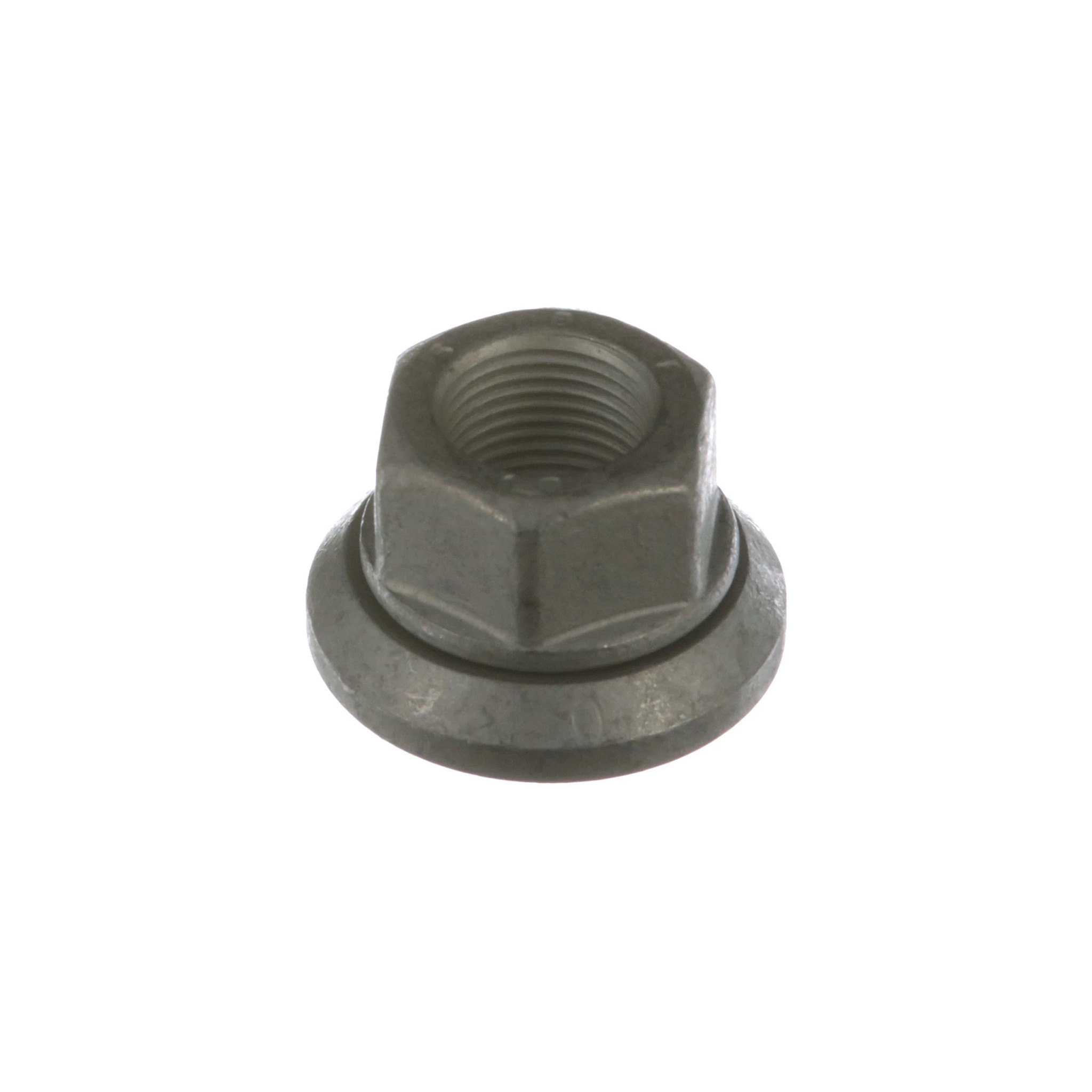 NUT | NEWHOLLANDAG | GB | EN