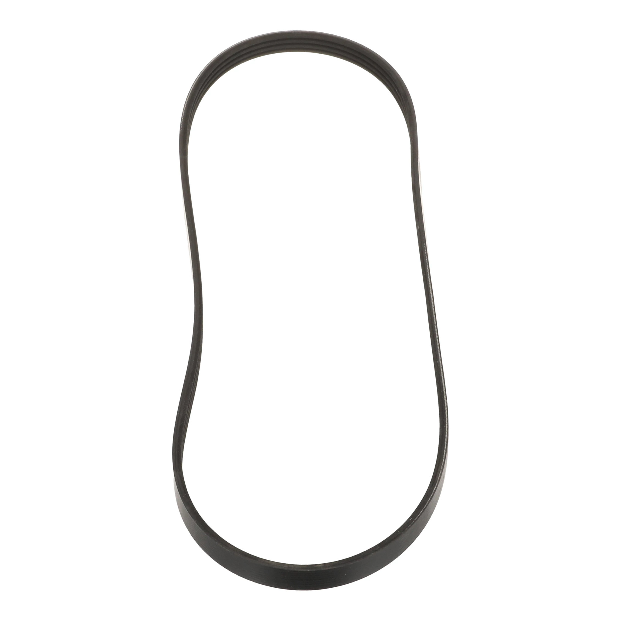 BELT | CASECE | US | EN