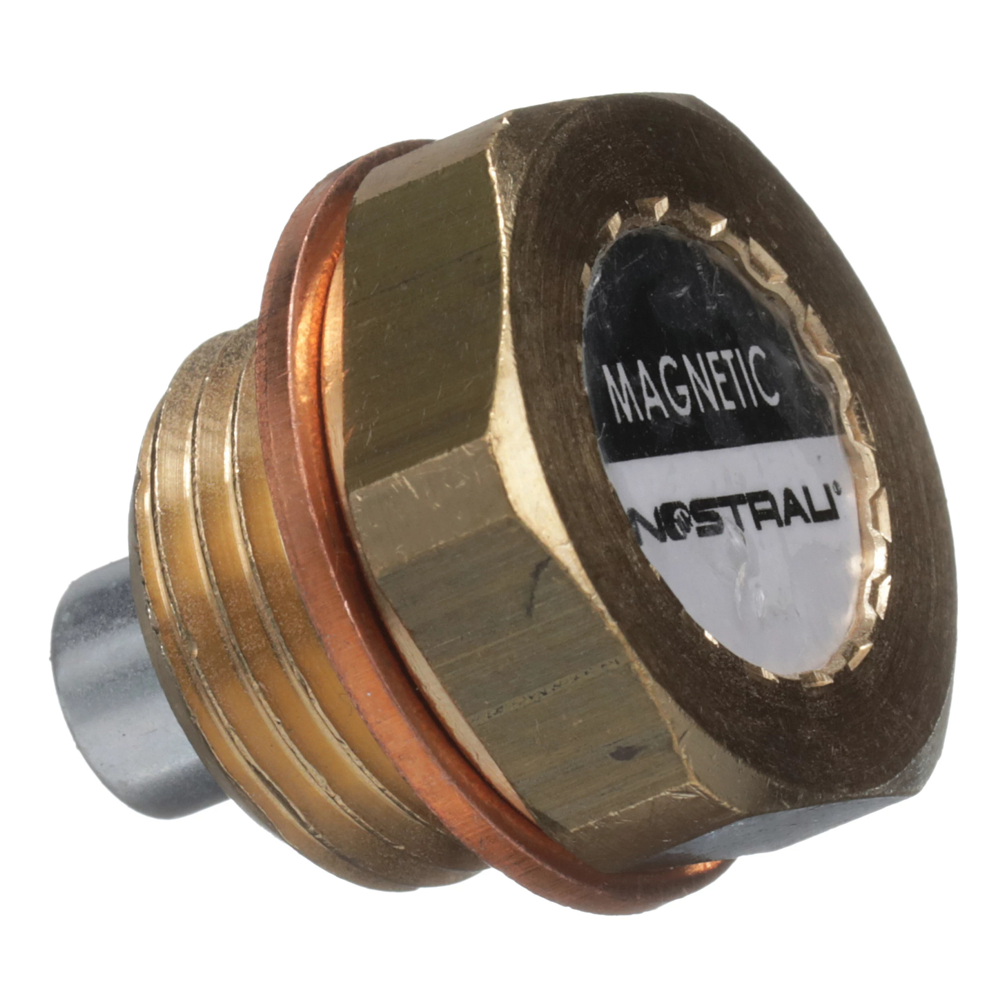 MAGNETIC PLUG | CASEIH | IE | EN