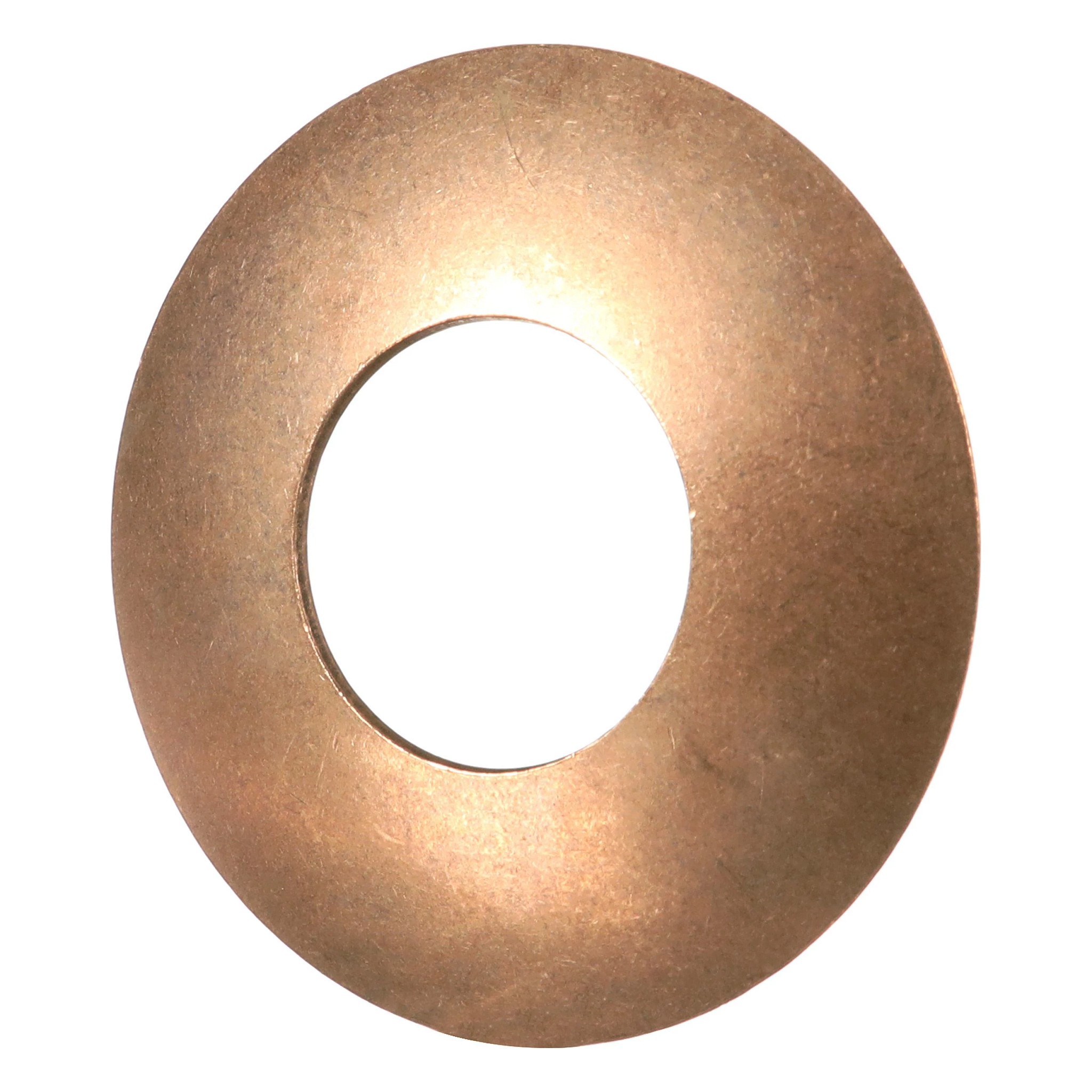 Thrust Washer | CASEIH | US | EN