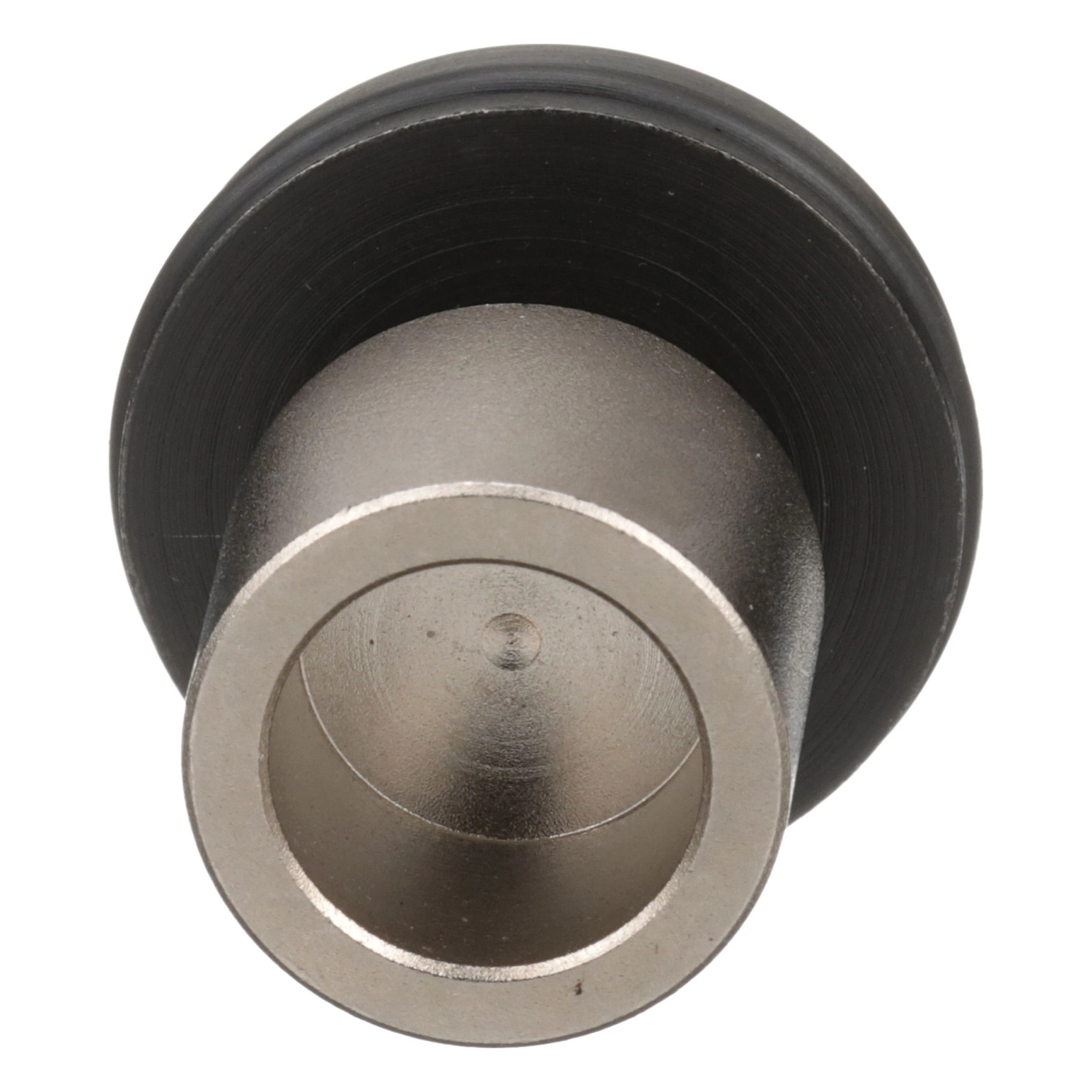PLUNGER | CASECE | CA | EN