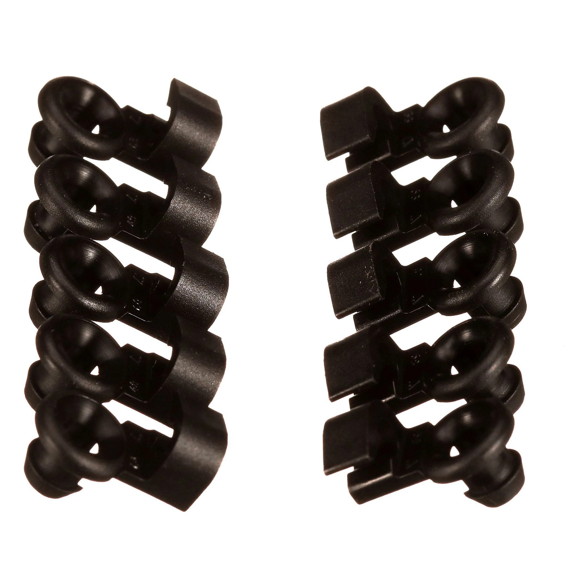 CLIP | CASECE | CA | EN