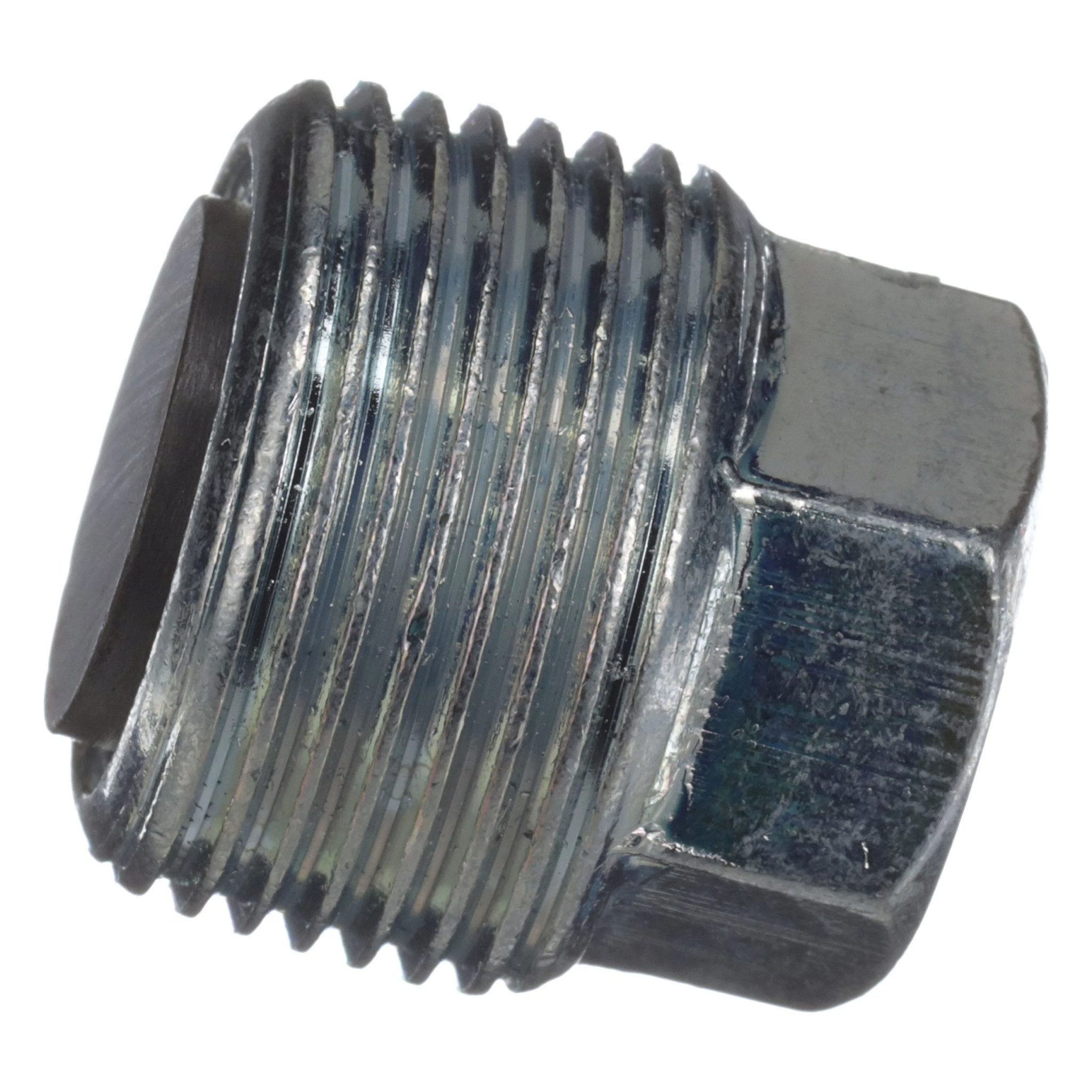 PLUG | CASECE | EU | EN