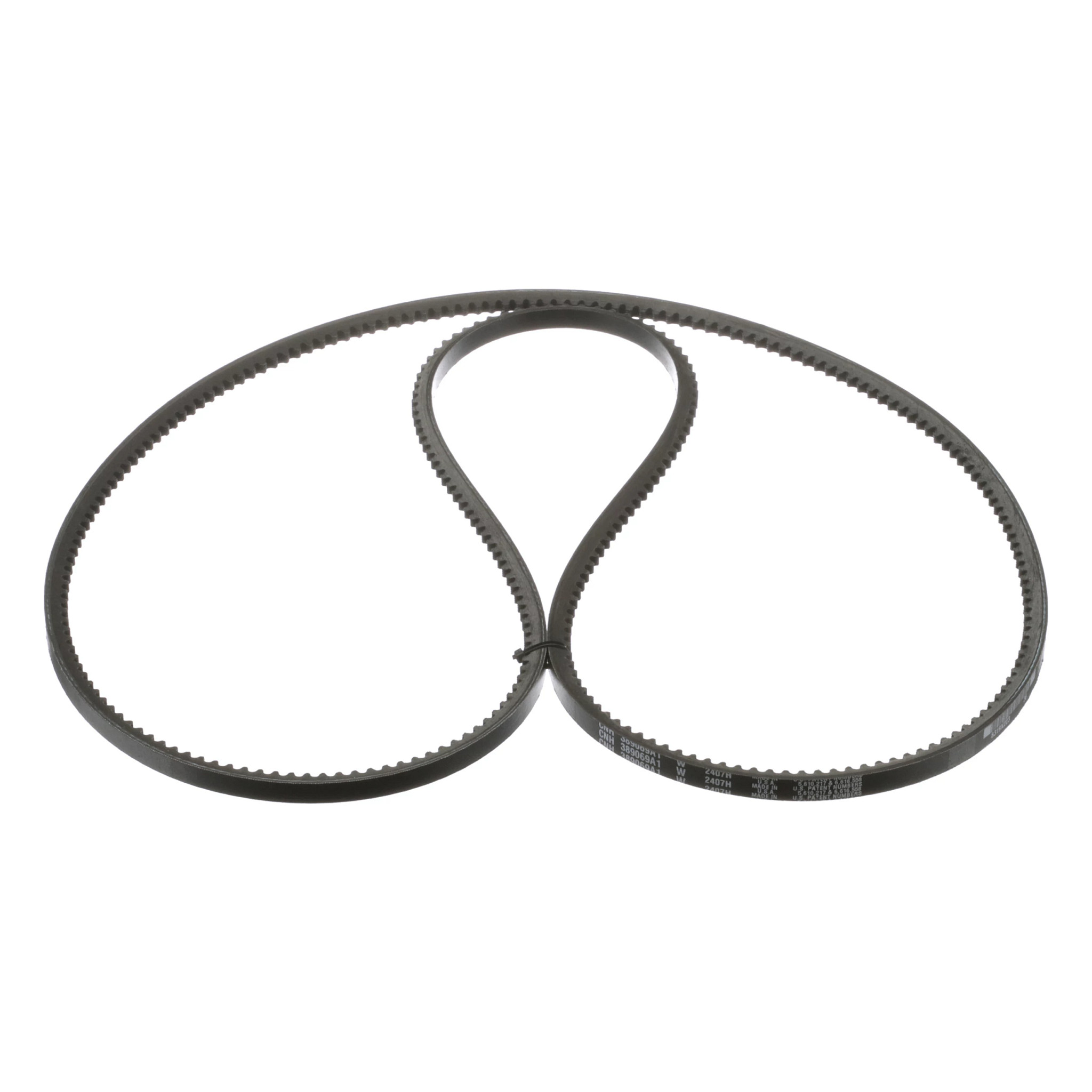 BELT | CASECE | EU | FR