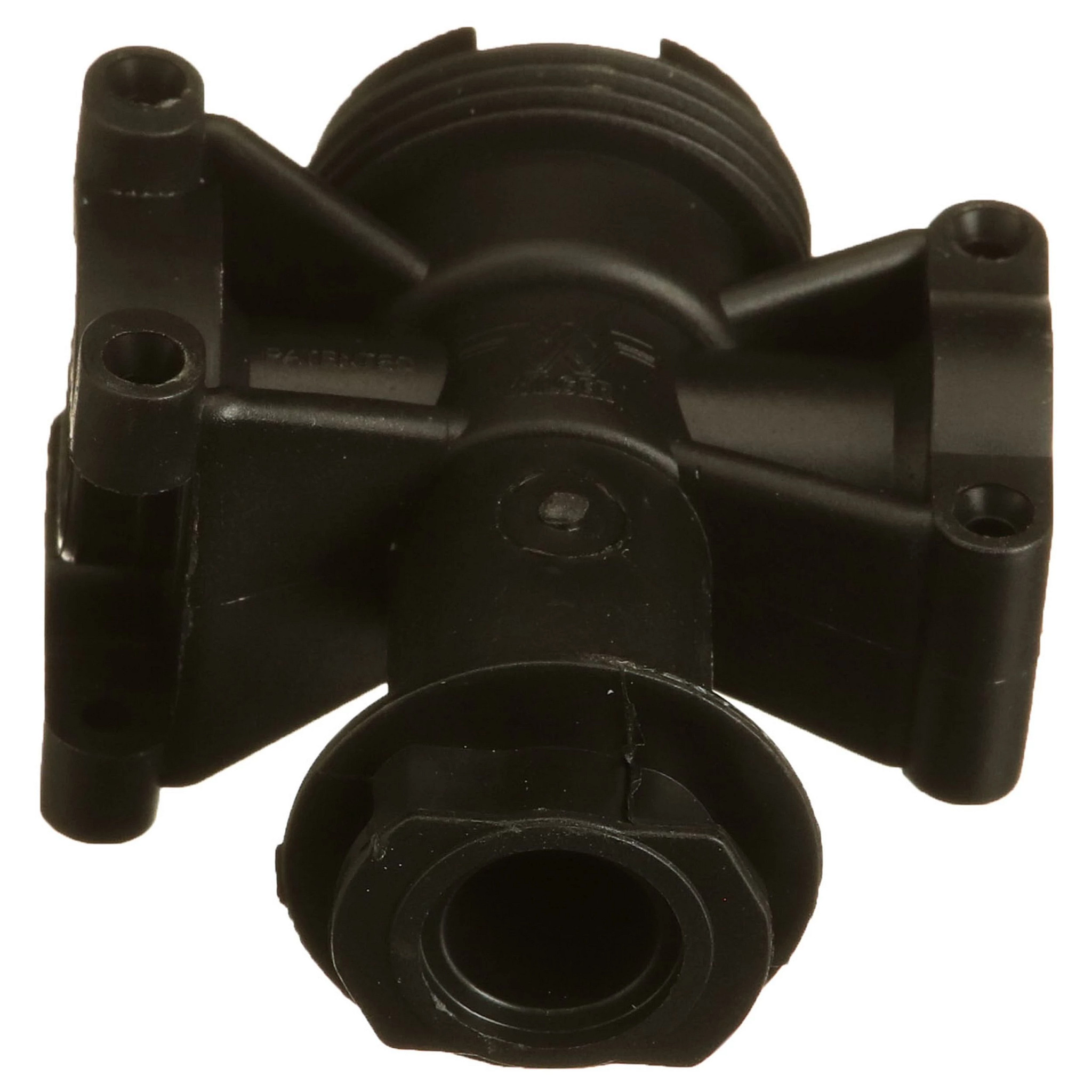 BODY | CASECE | US | EN