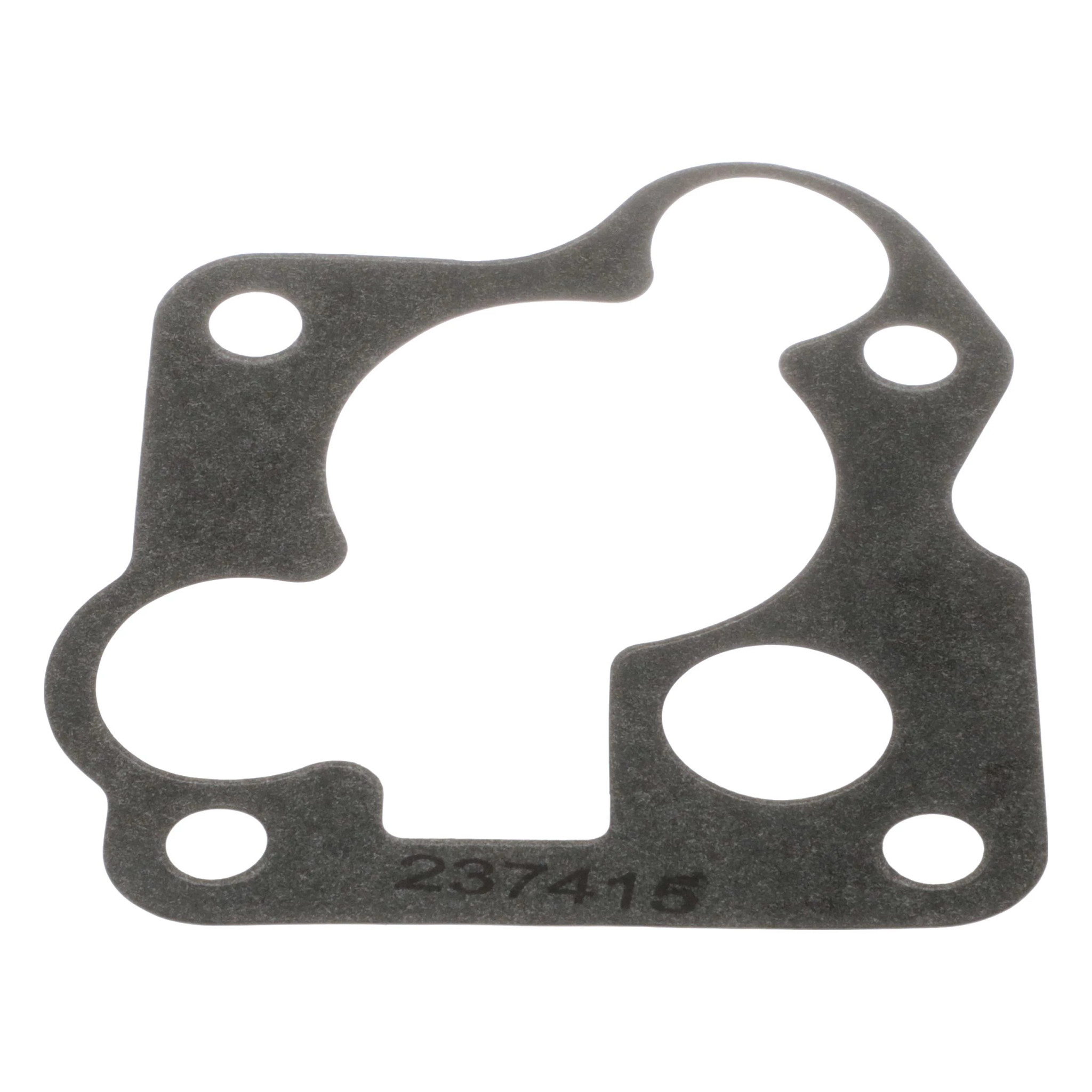Engine Gasket