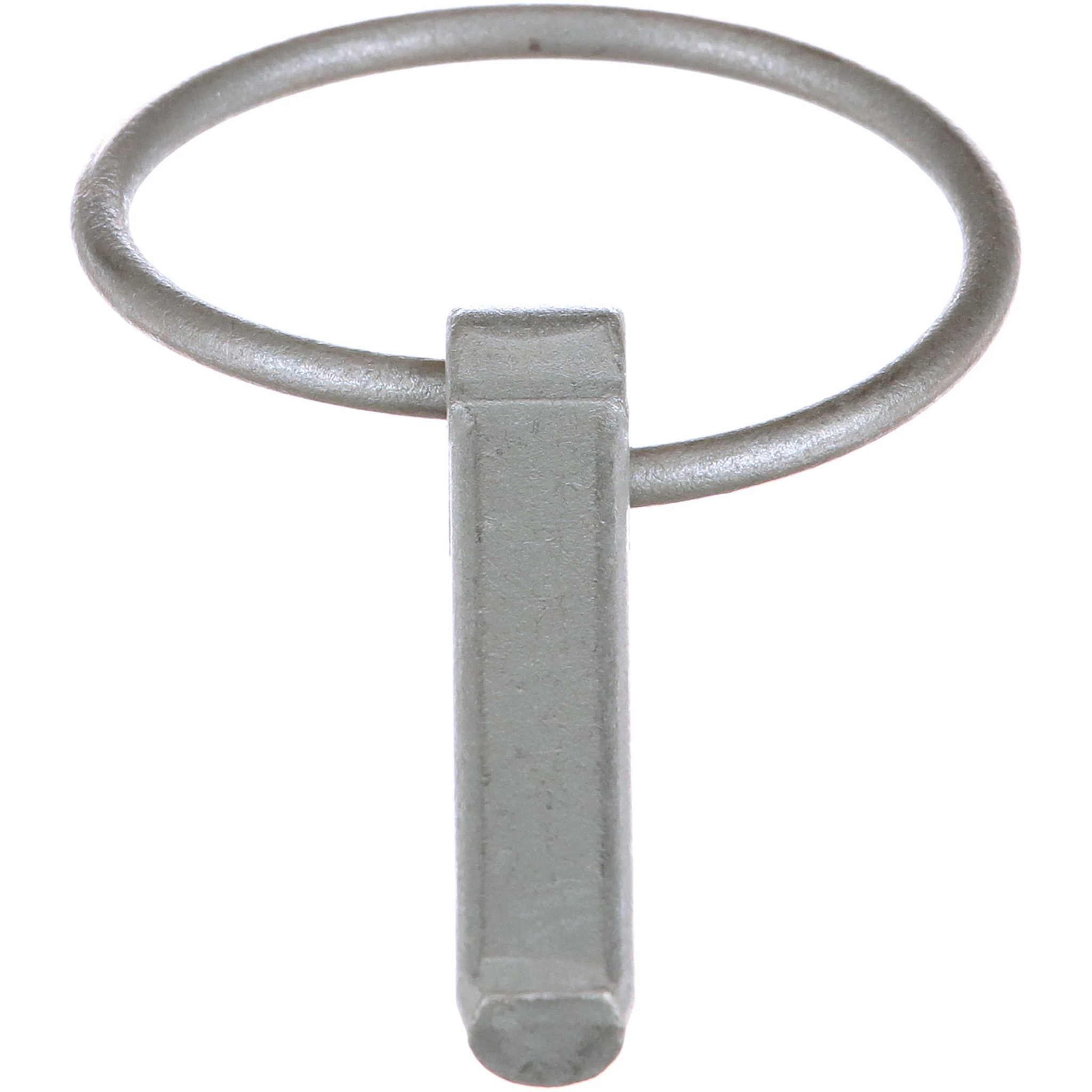 LINCH PIN | CASECE | CA | EN