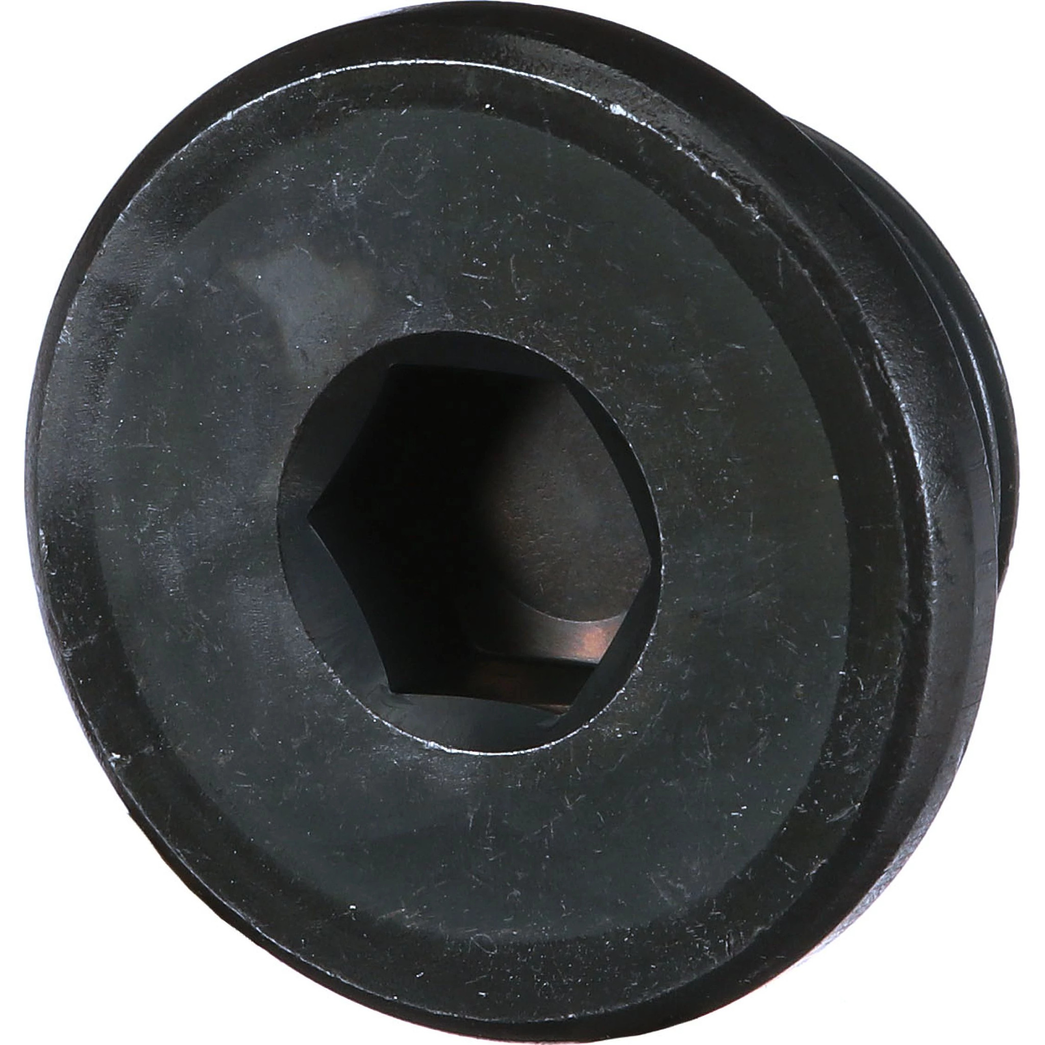 Plug | CASECE | US | EN