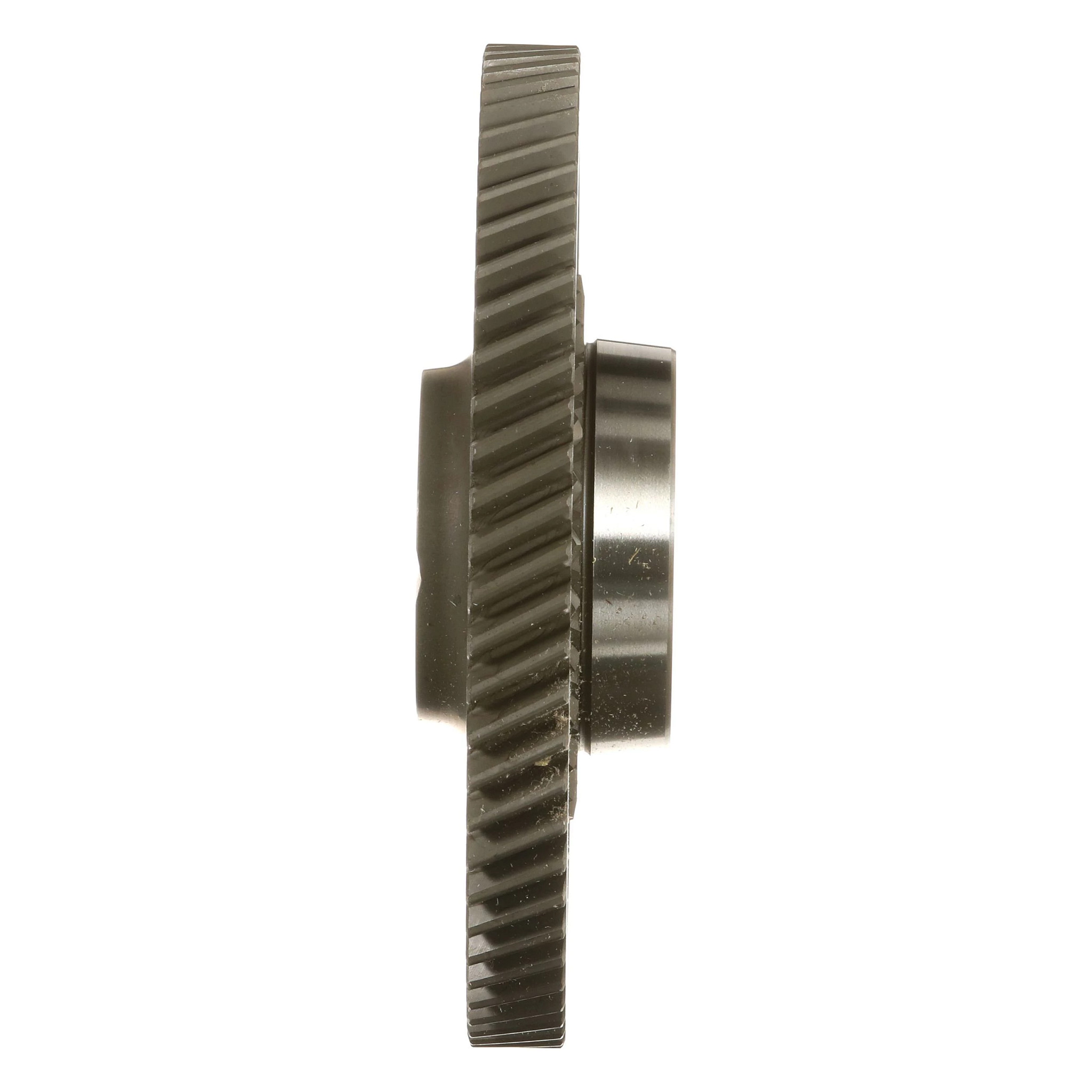 PINION | CASECE | CA | EN