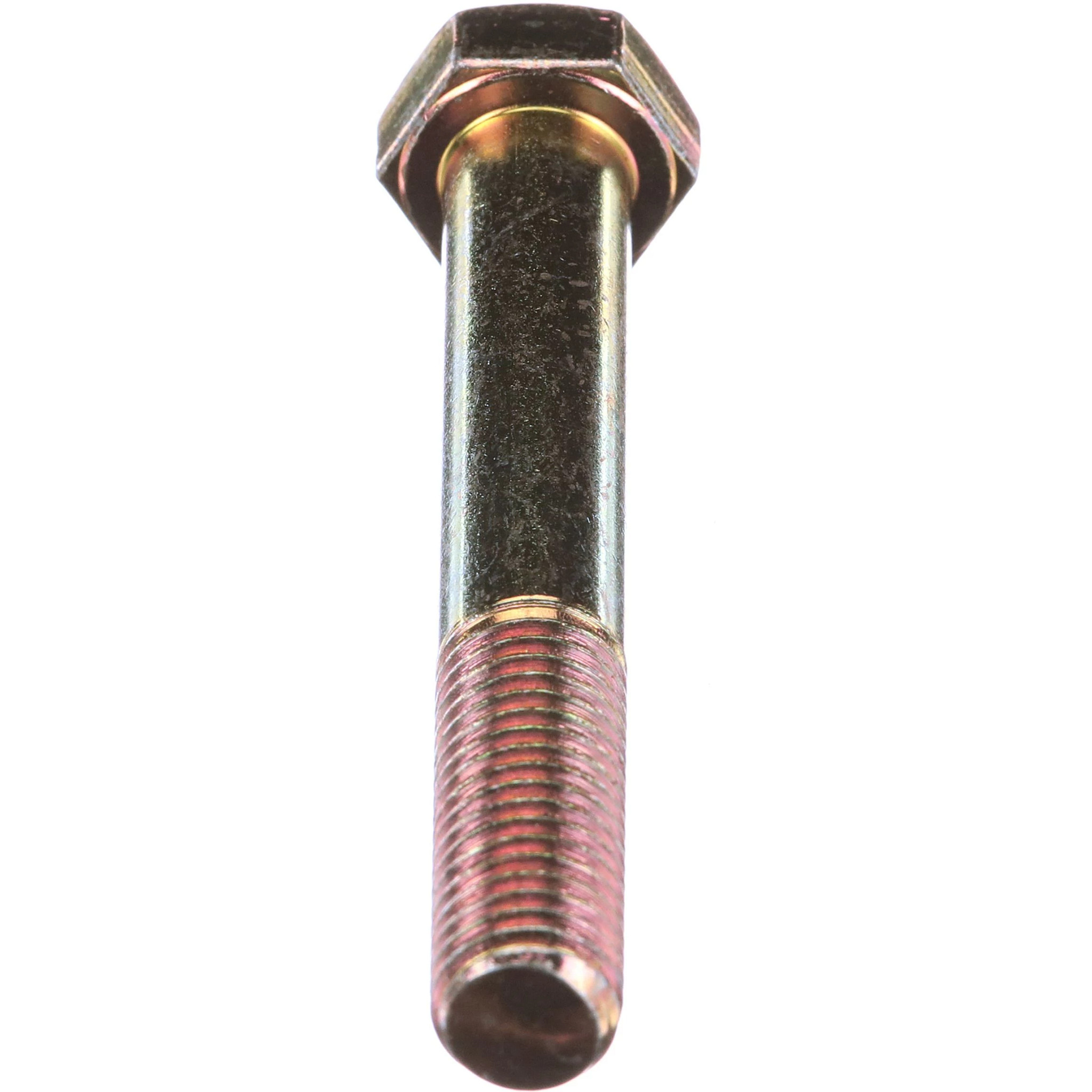 PARAFUSO | CASECE | EU | IT