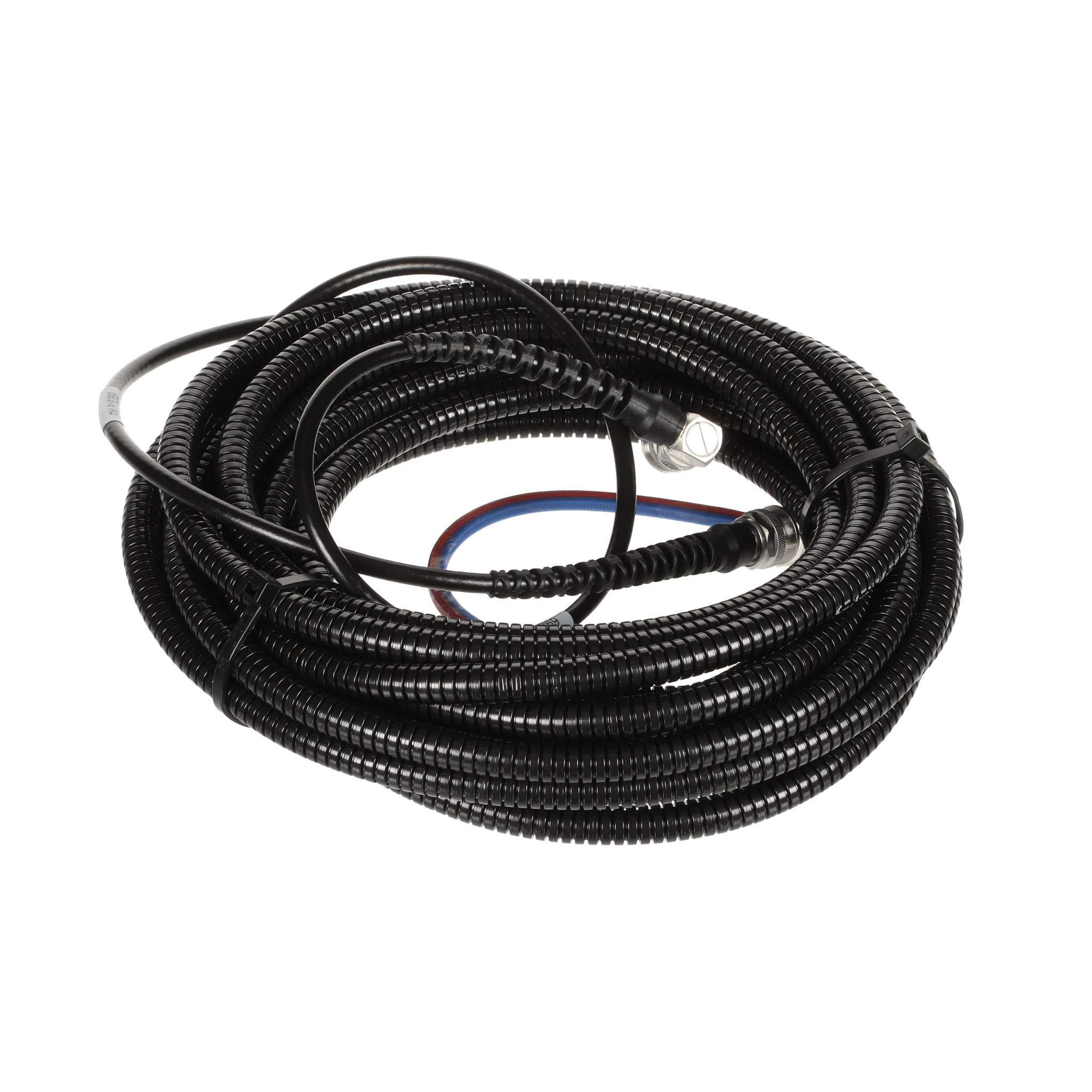 CHICOTE | CASECE | BR | PT