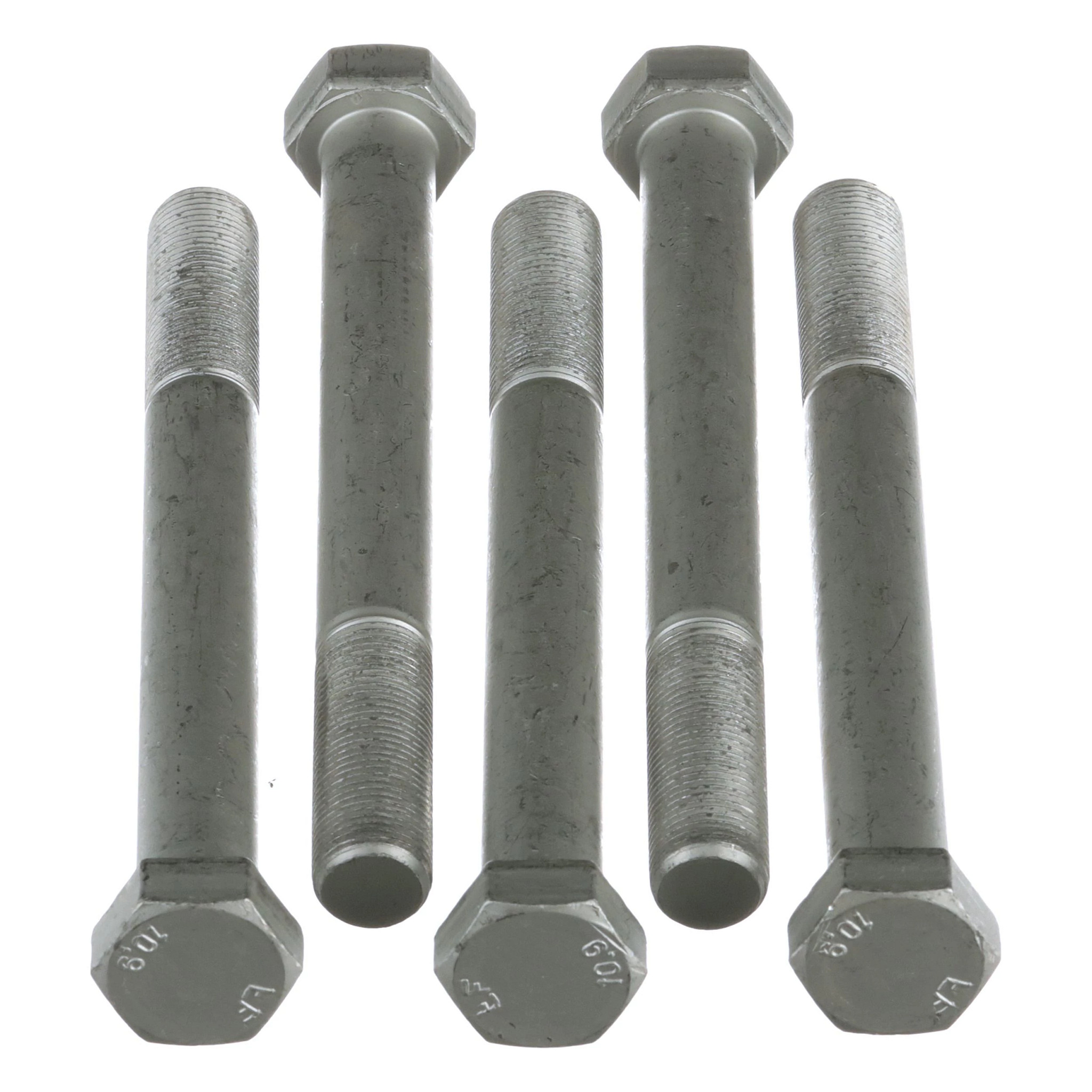 BOLT | CASECE | EU | PL