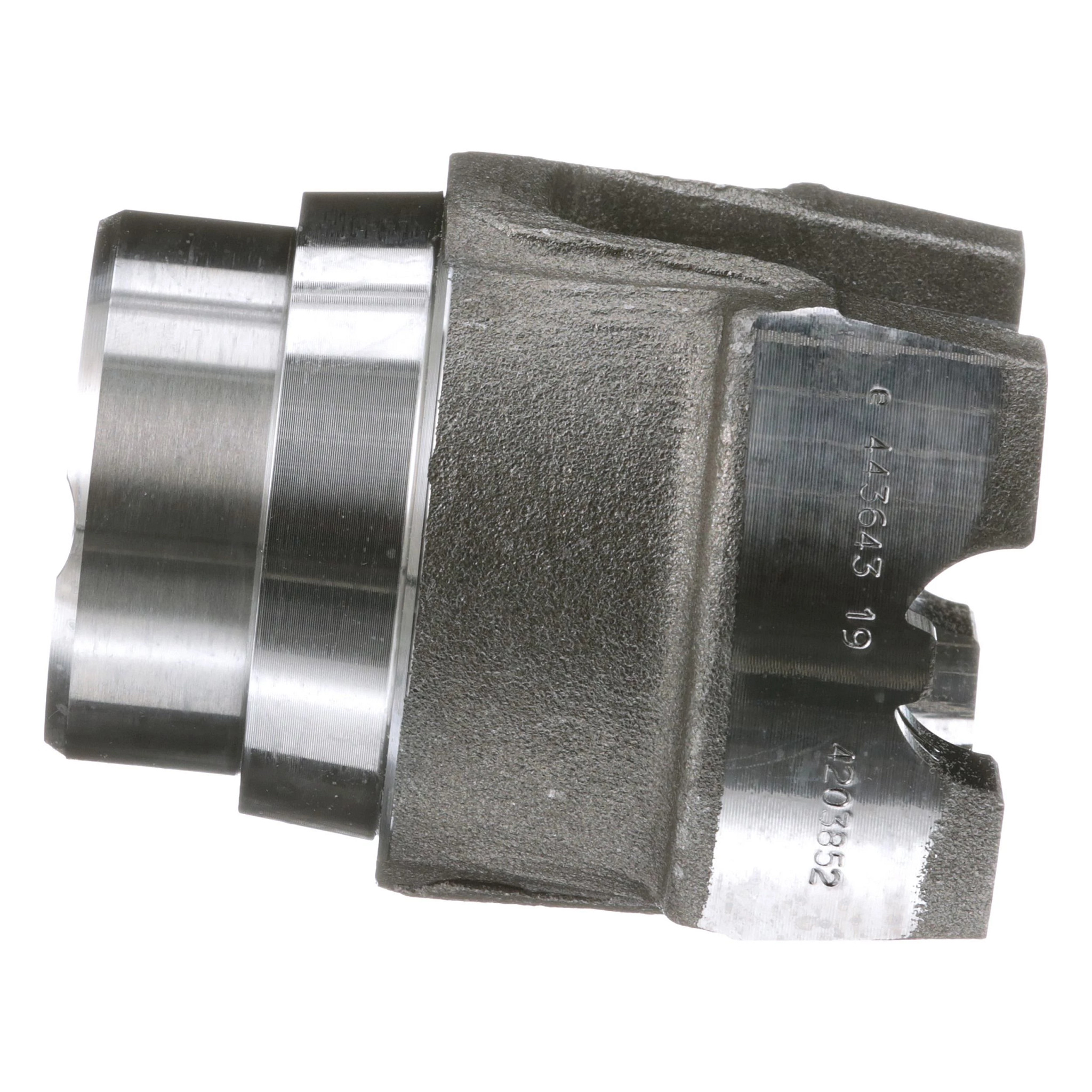 SHIN | CASECE | DE | DE