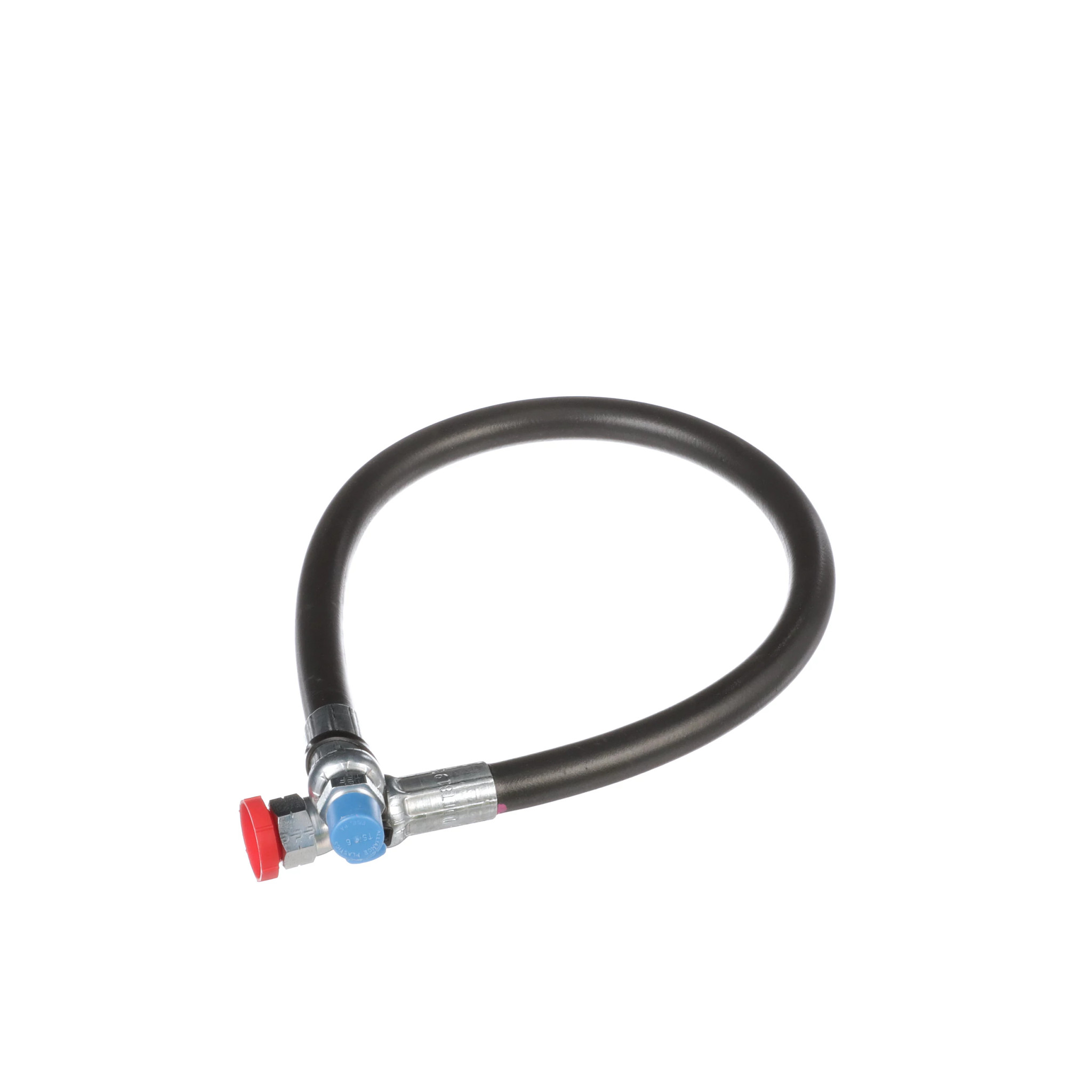 MANGUEIRA | CASEIH | BR | PT