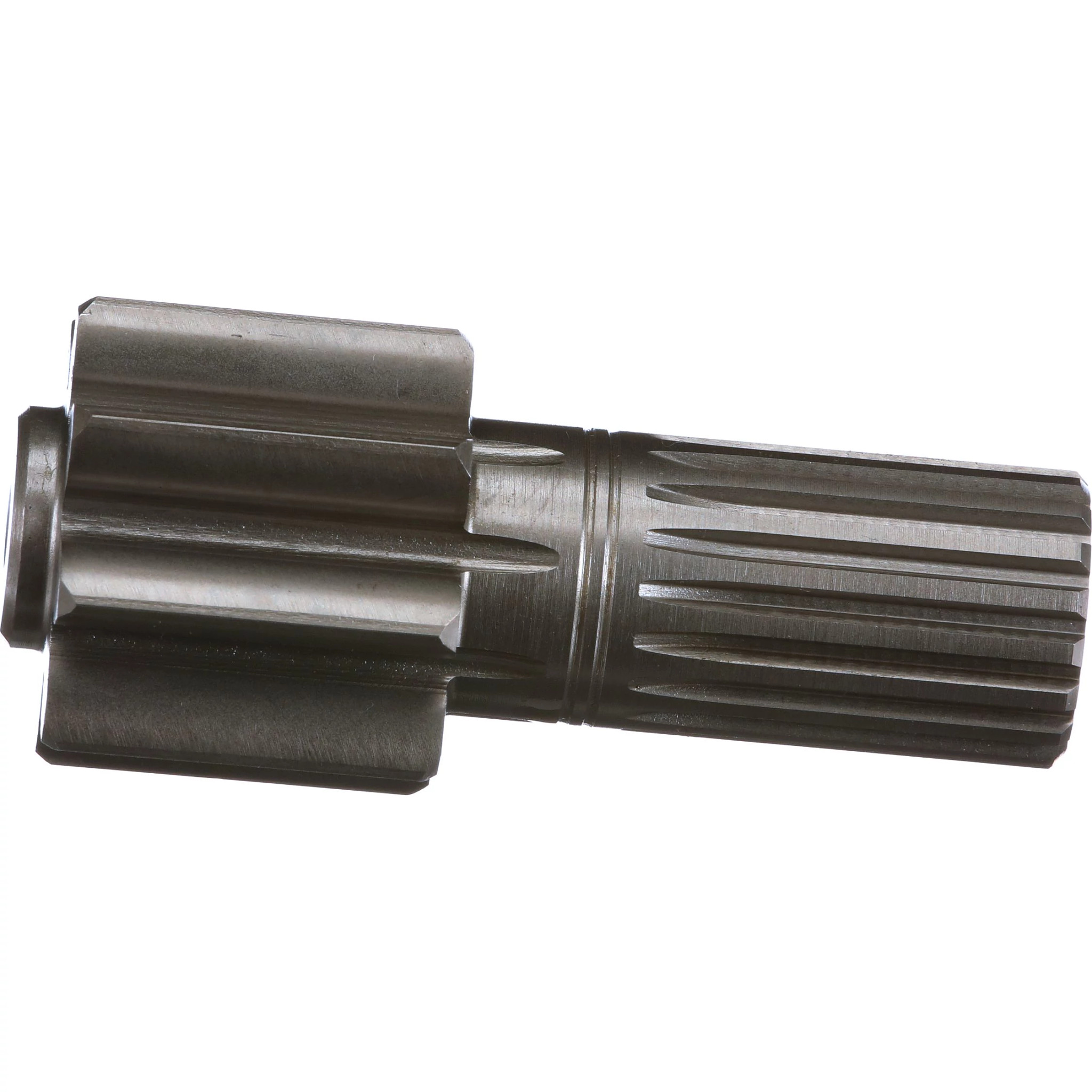 PIGNON SOLAIRE | CASECE | CA | FR