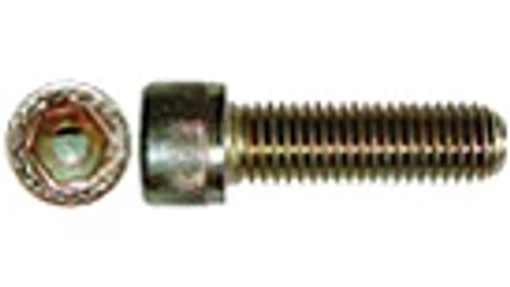 SCREW | STEYR | EU | PT