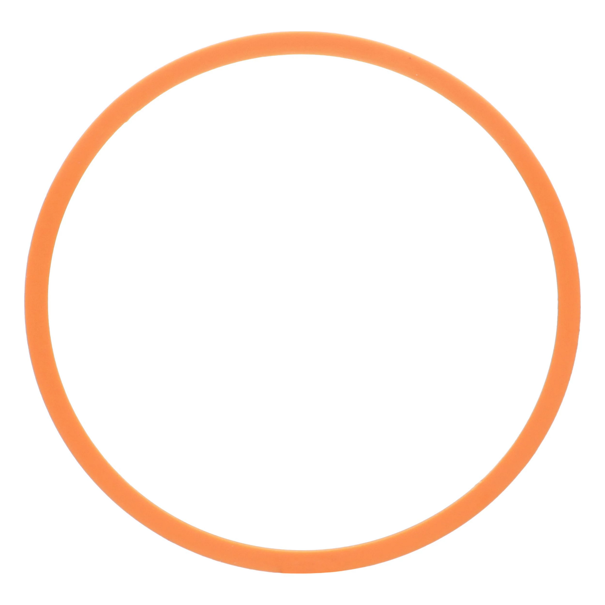 BAGUE ANTI-EXTRUSION | CASEIH | EU | FR