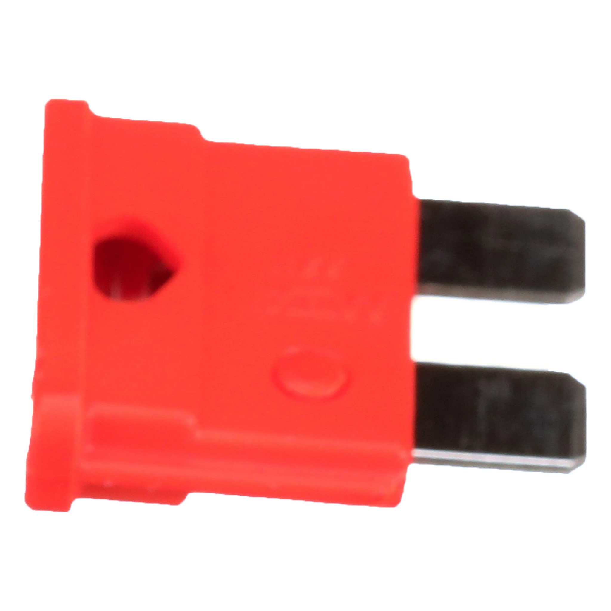 FUSE | CASECE | US | EN