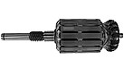 ARMATURE | CASECE | US | EN