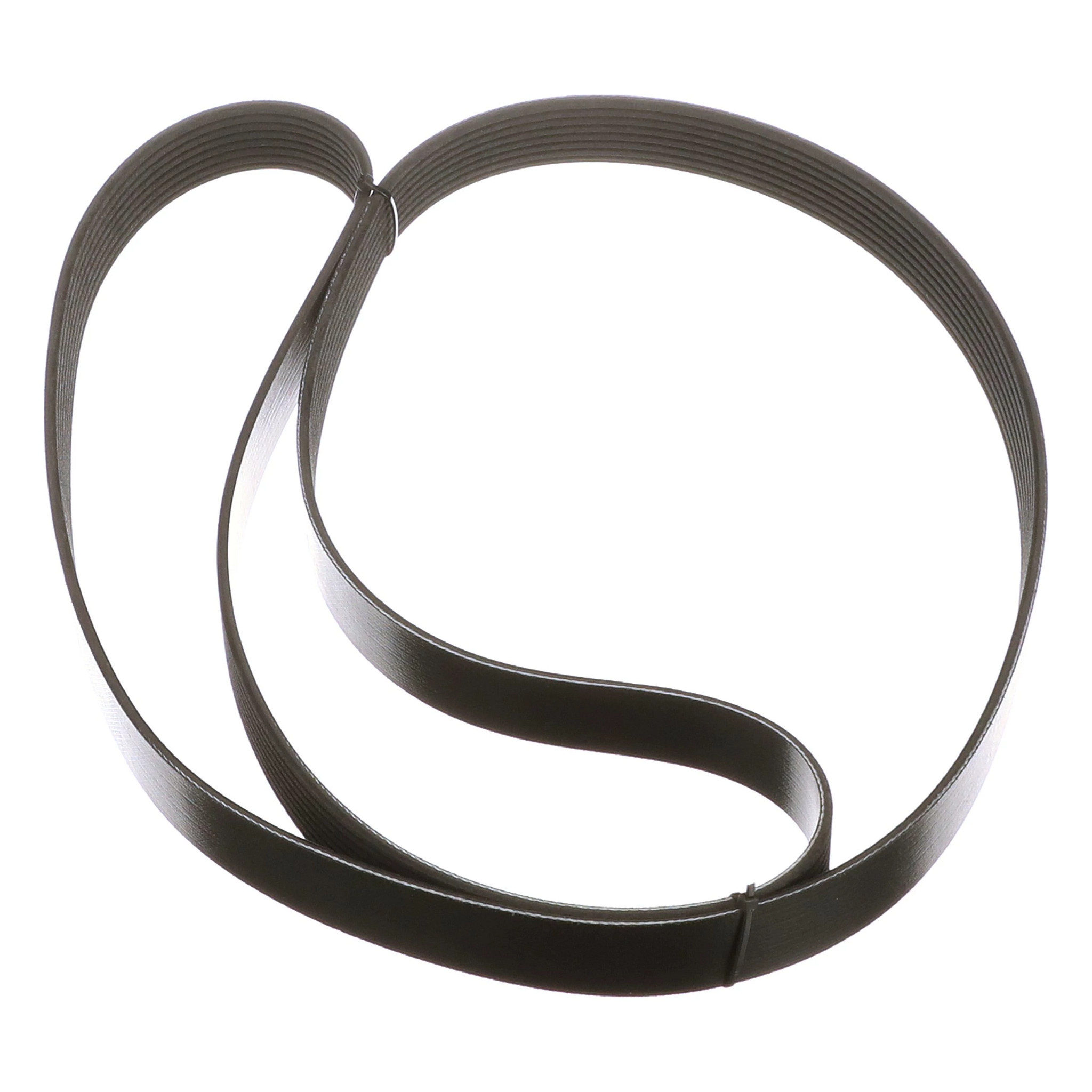 BELT | CASECE | US | EN