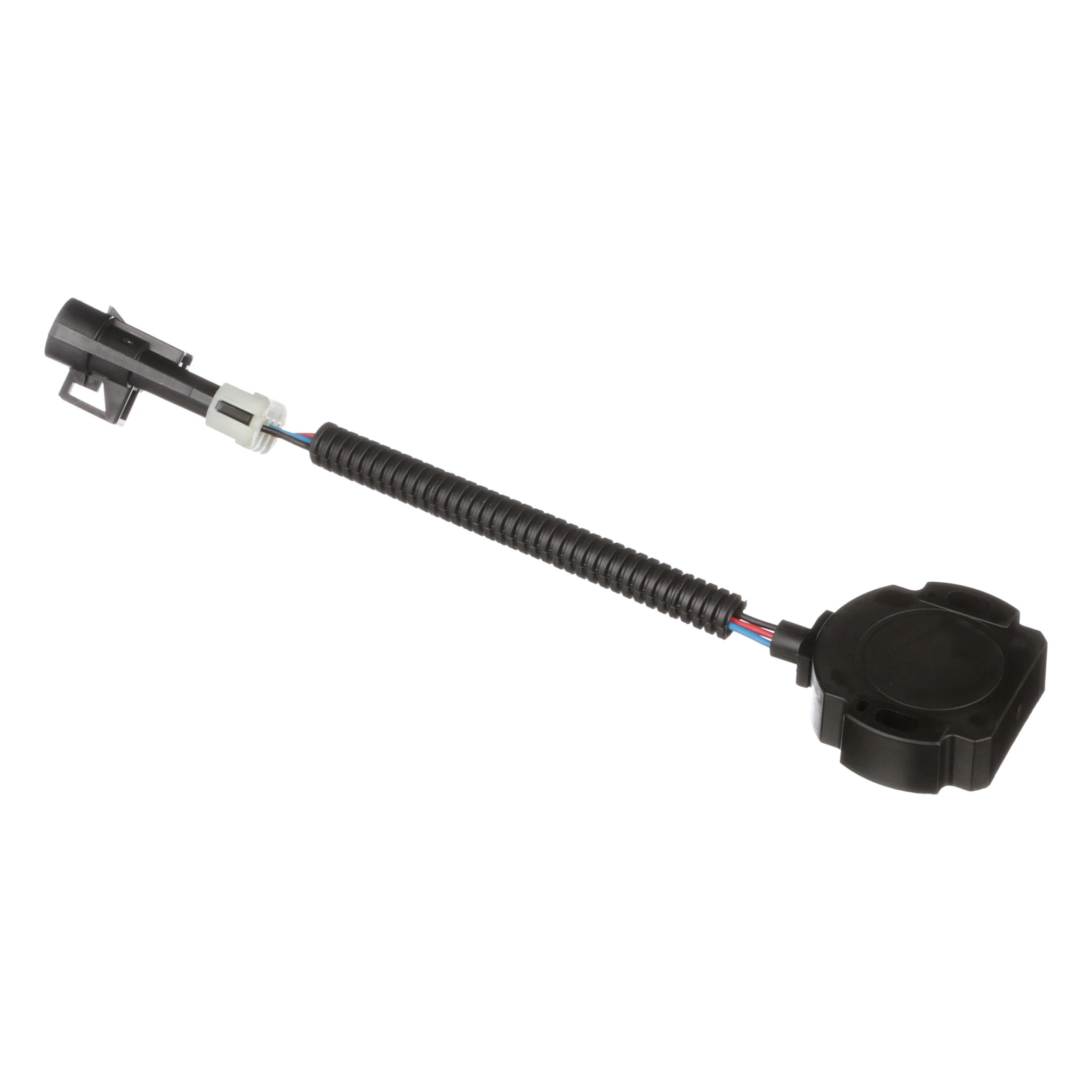Cam Position Sensor | CASECE | US | EN