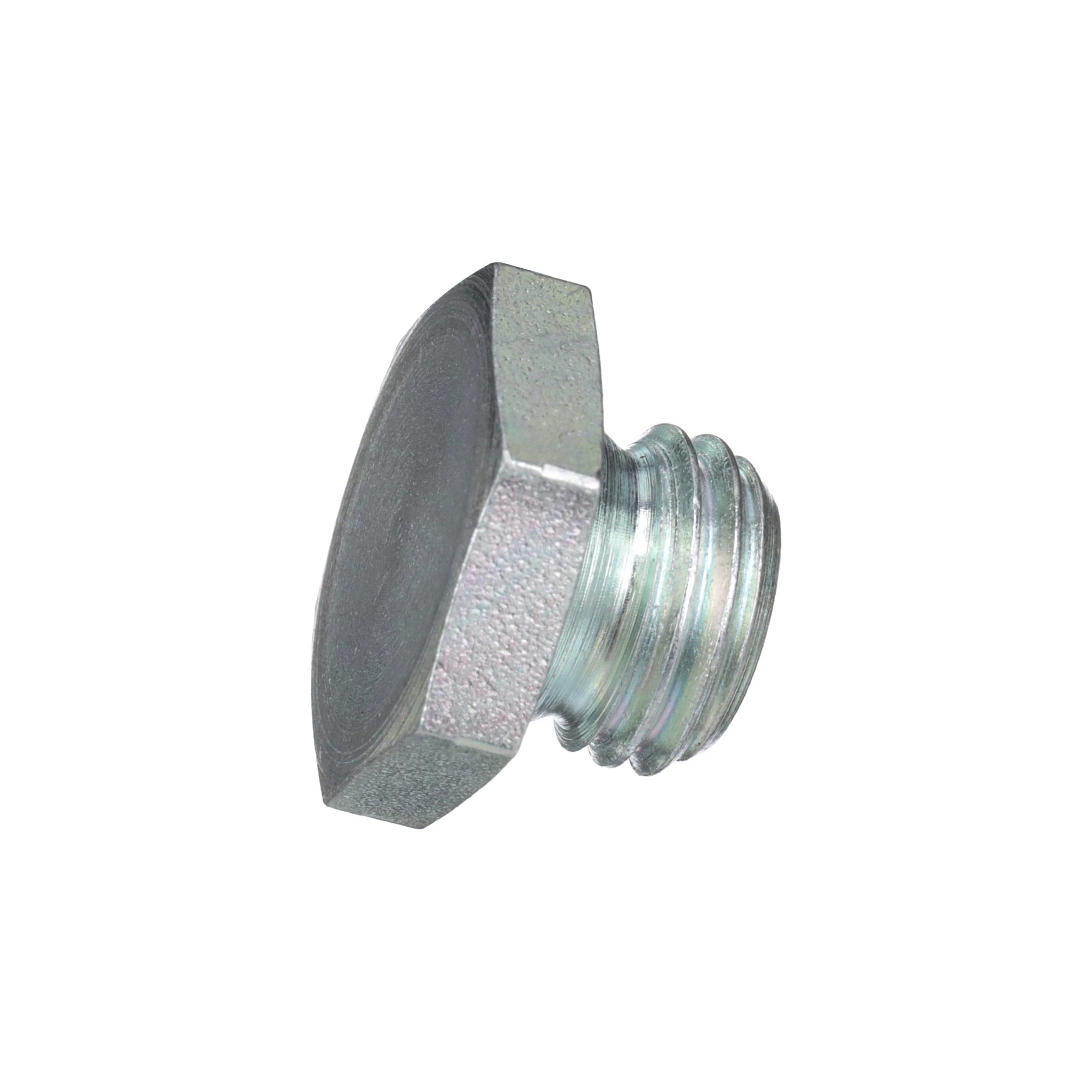 HEX PLUG | CASECE | SA | EN