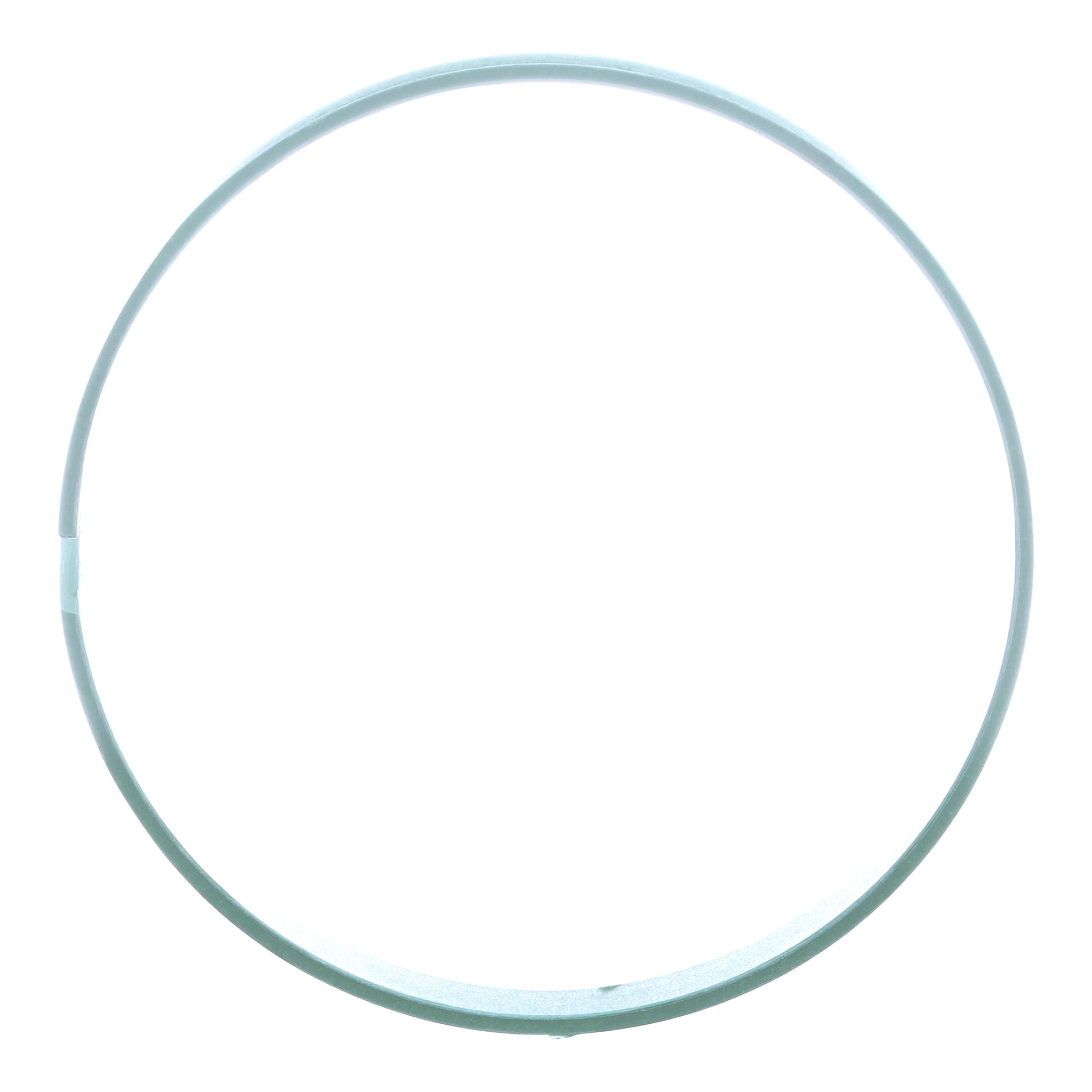 PIERSCIEN USZCZELN | CASEIH | EU | IT