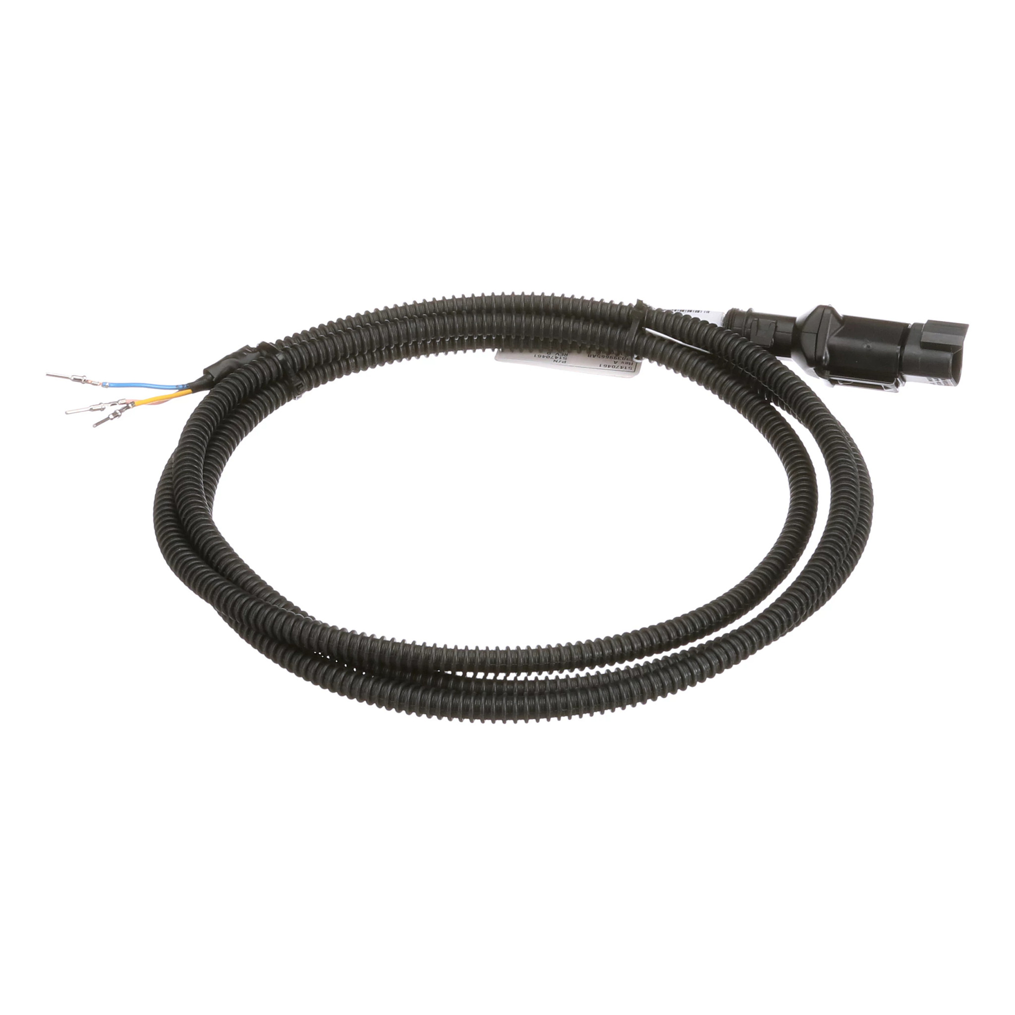 CHICOTE | CASECE | EU | NL