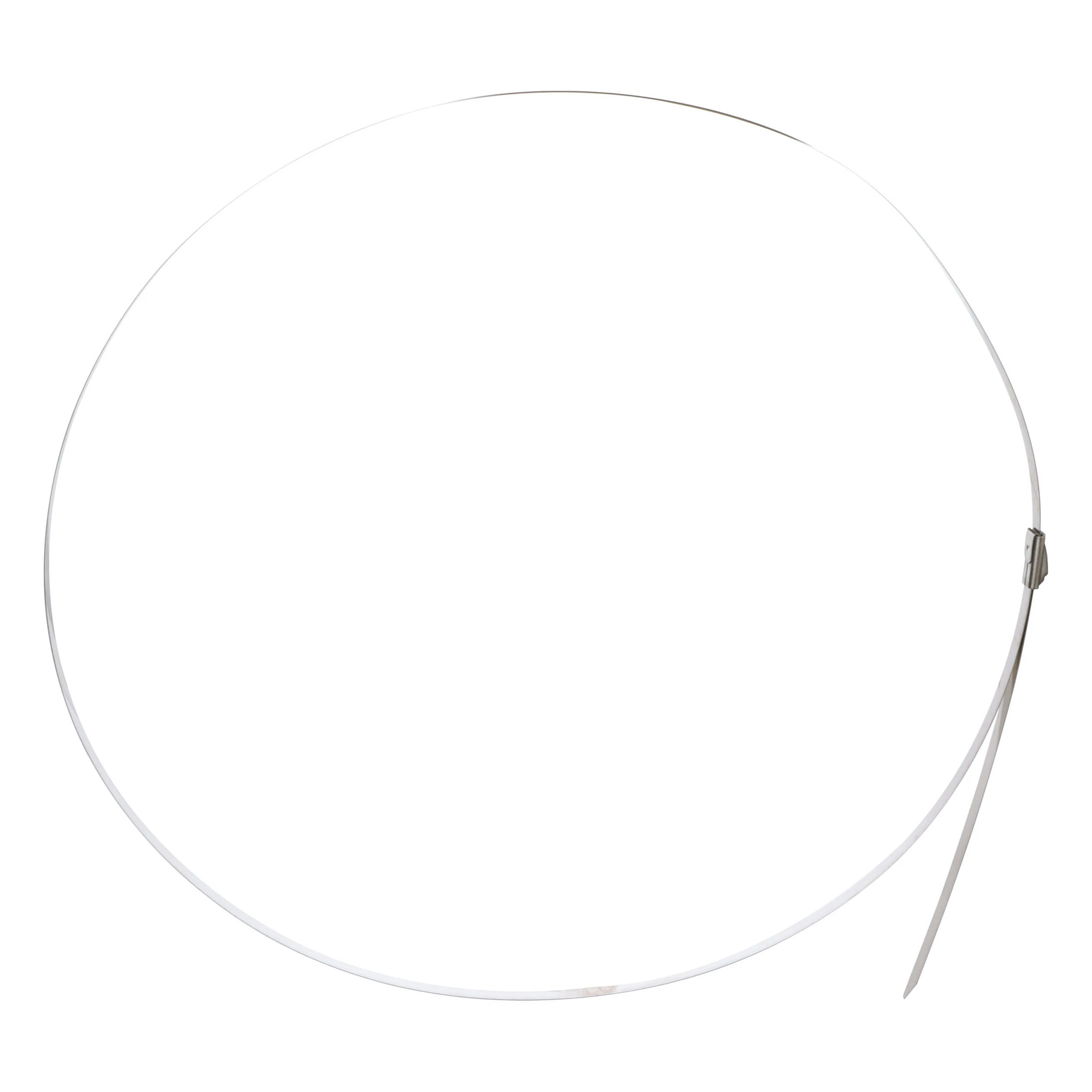 BRIDE | CASEIH | AMEA | EN