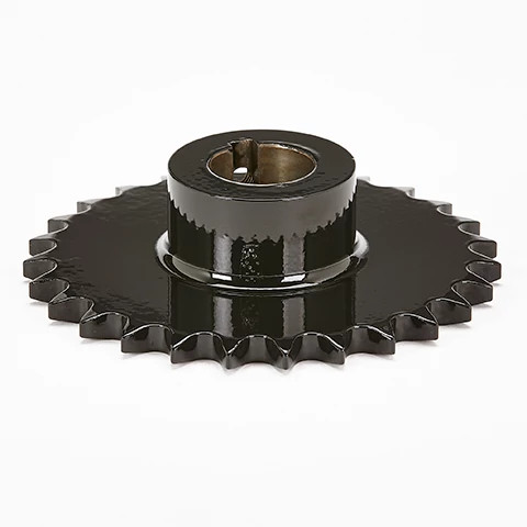 PIÑÓN | CASEIH | EU | DA