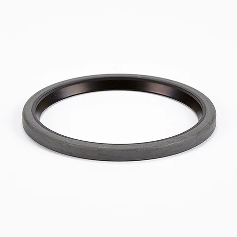 ANILLO DE CIERRE | CASECE | EU | ES