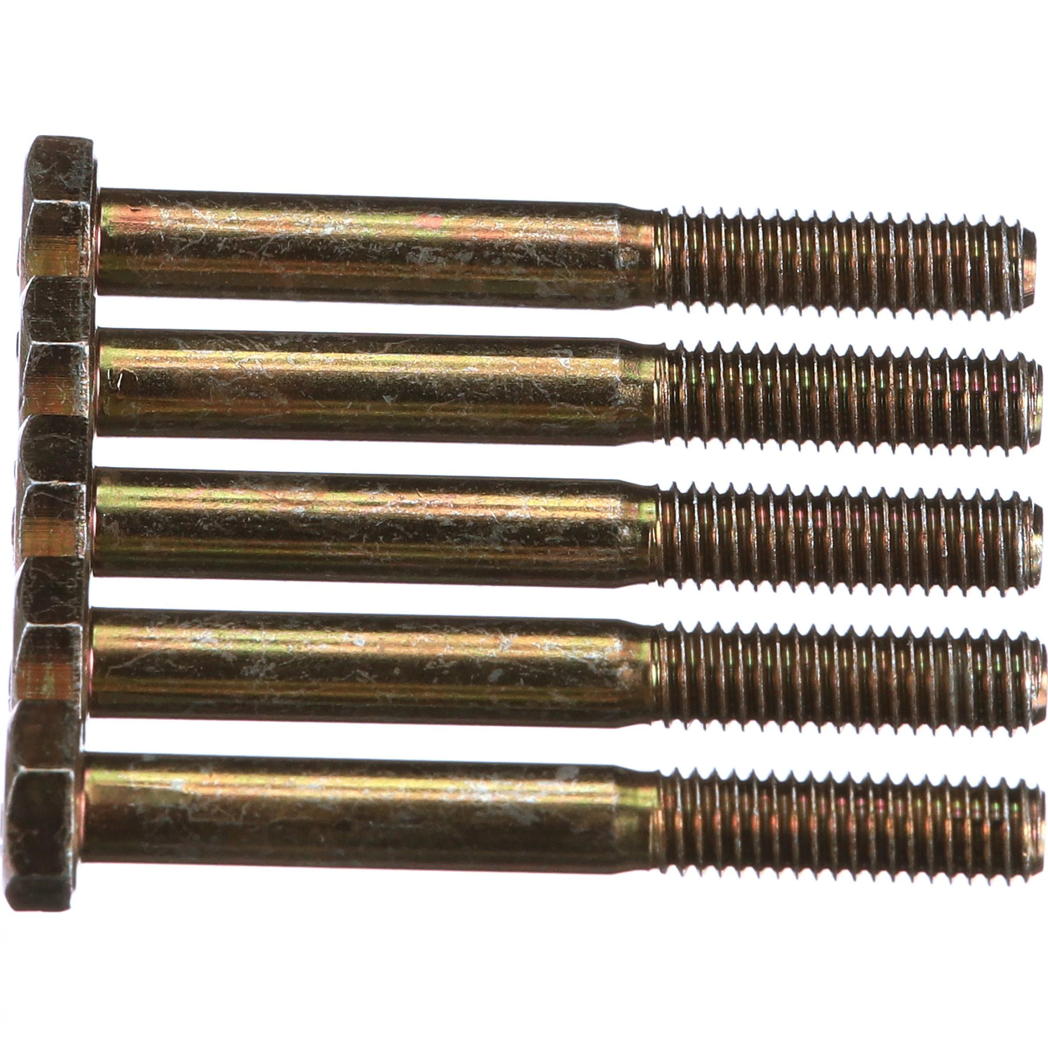 BOLT | CASECE | EU | EN