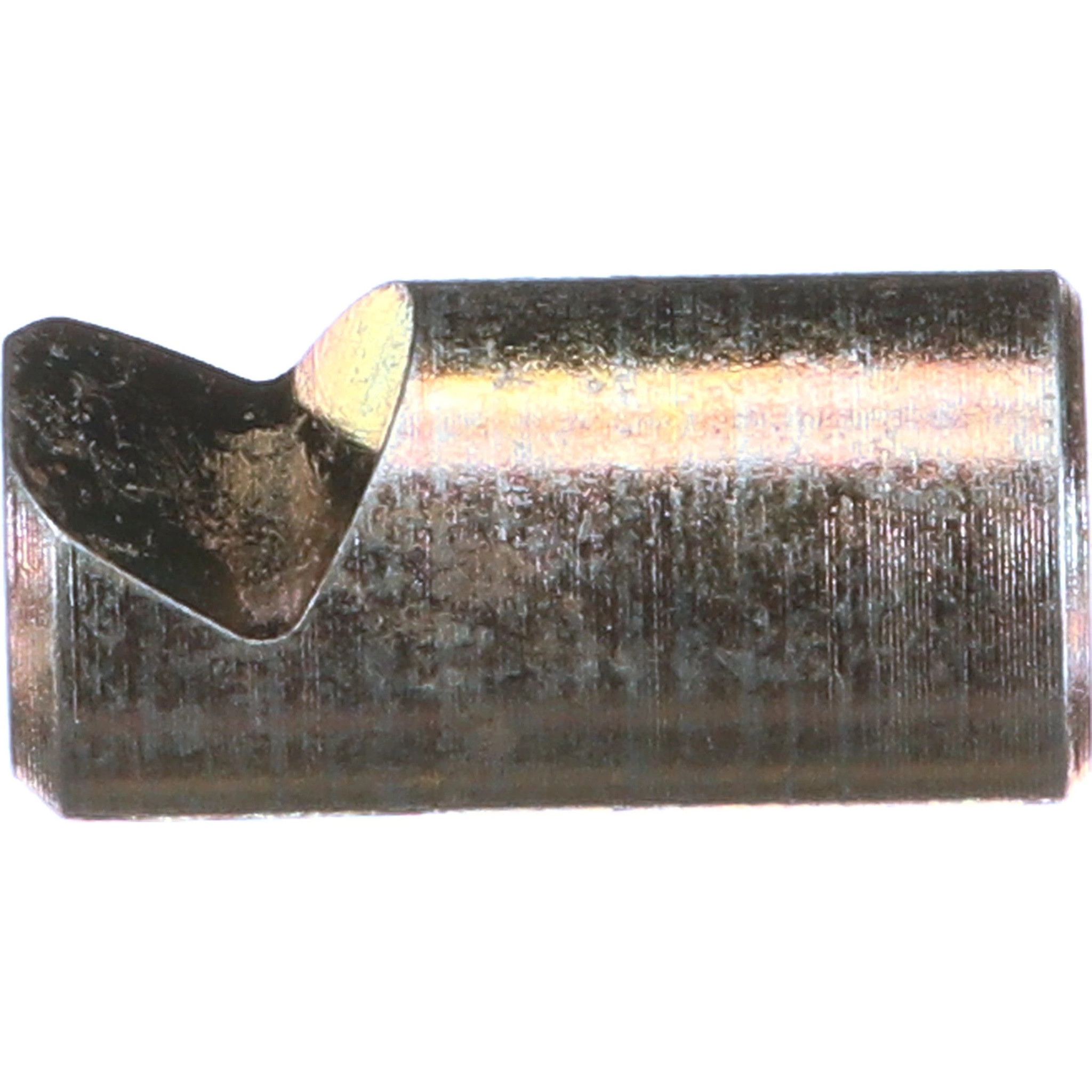 PAWL | CASECE | CA | EN