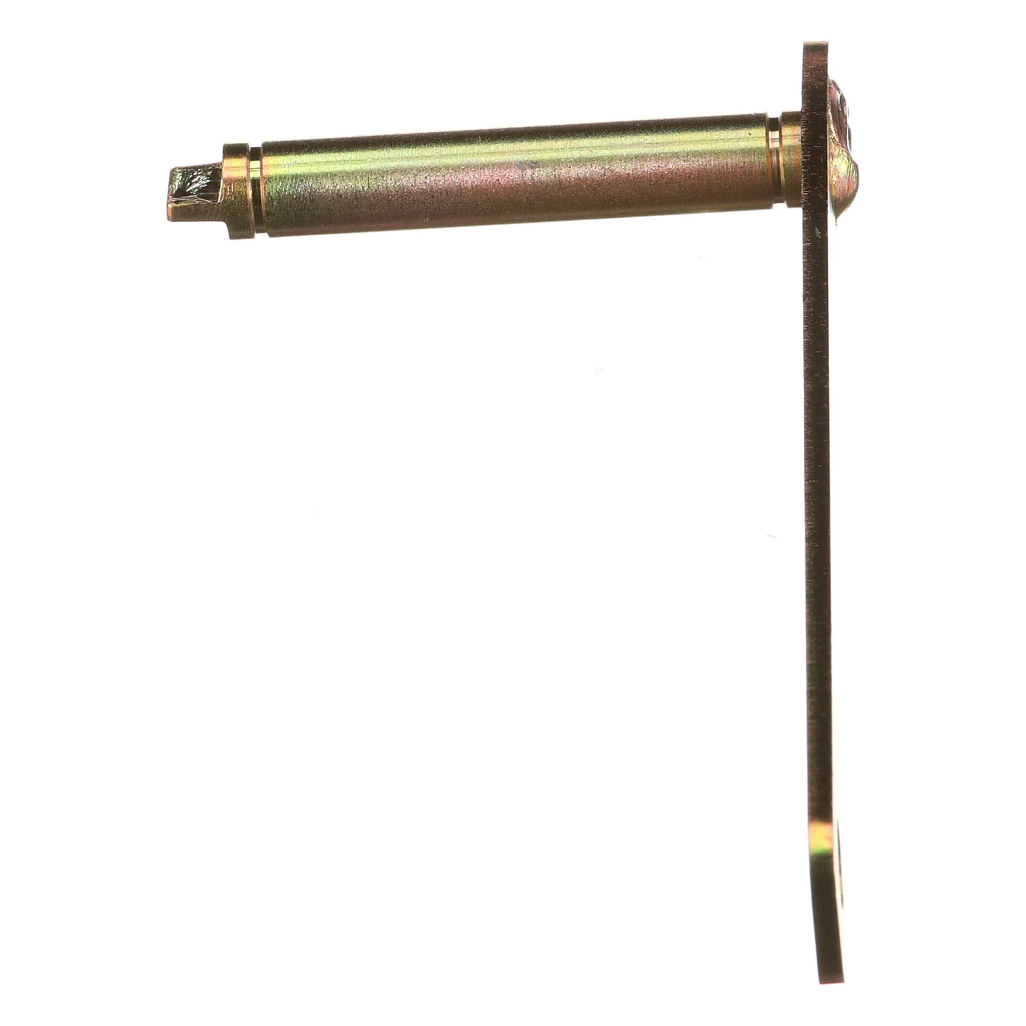 ARM | CASECE | AMEA | EN