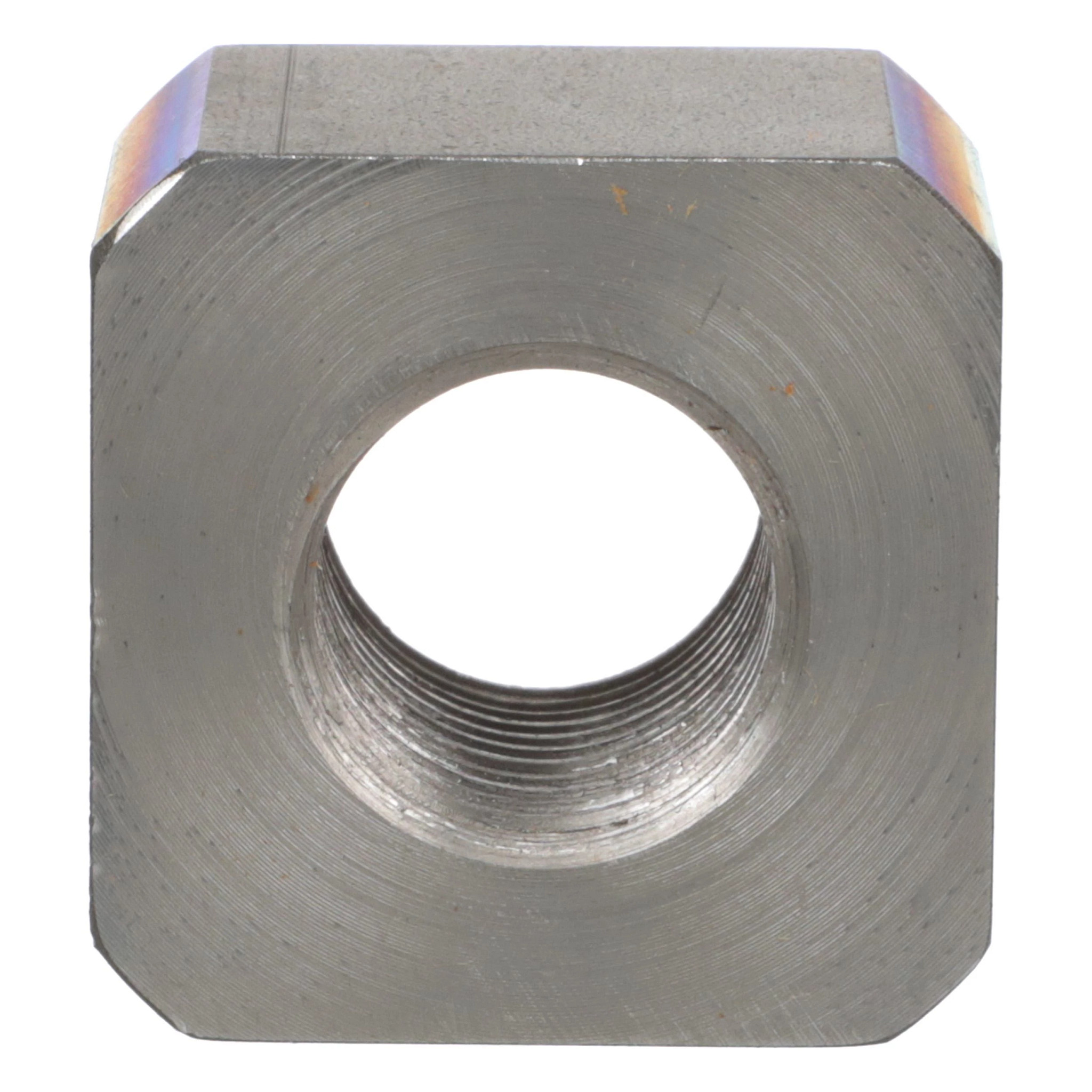 NUT | CASECE | AU | EN