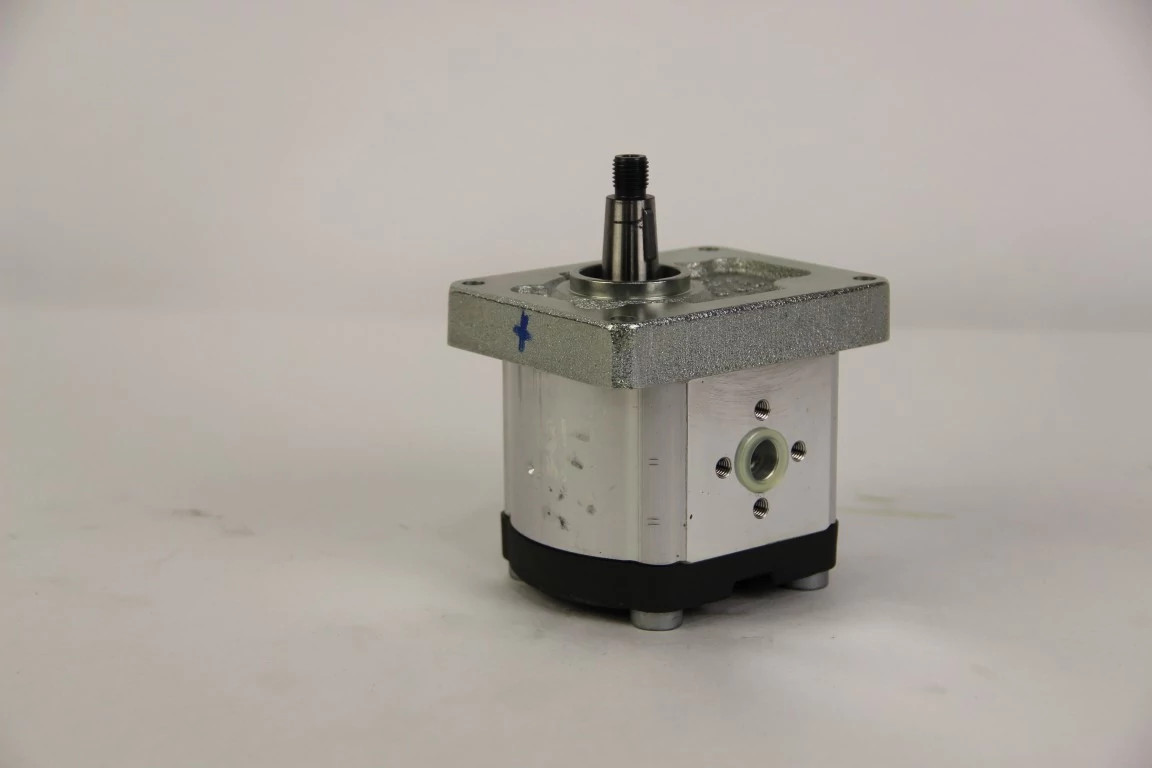 Reman Hydraulic Pump - 189.17 cc | CASEIH | US | EN